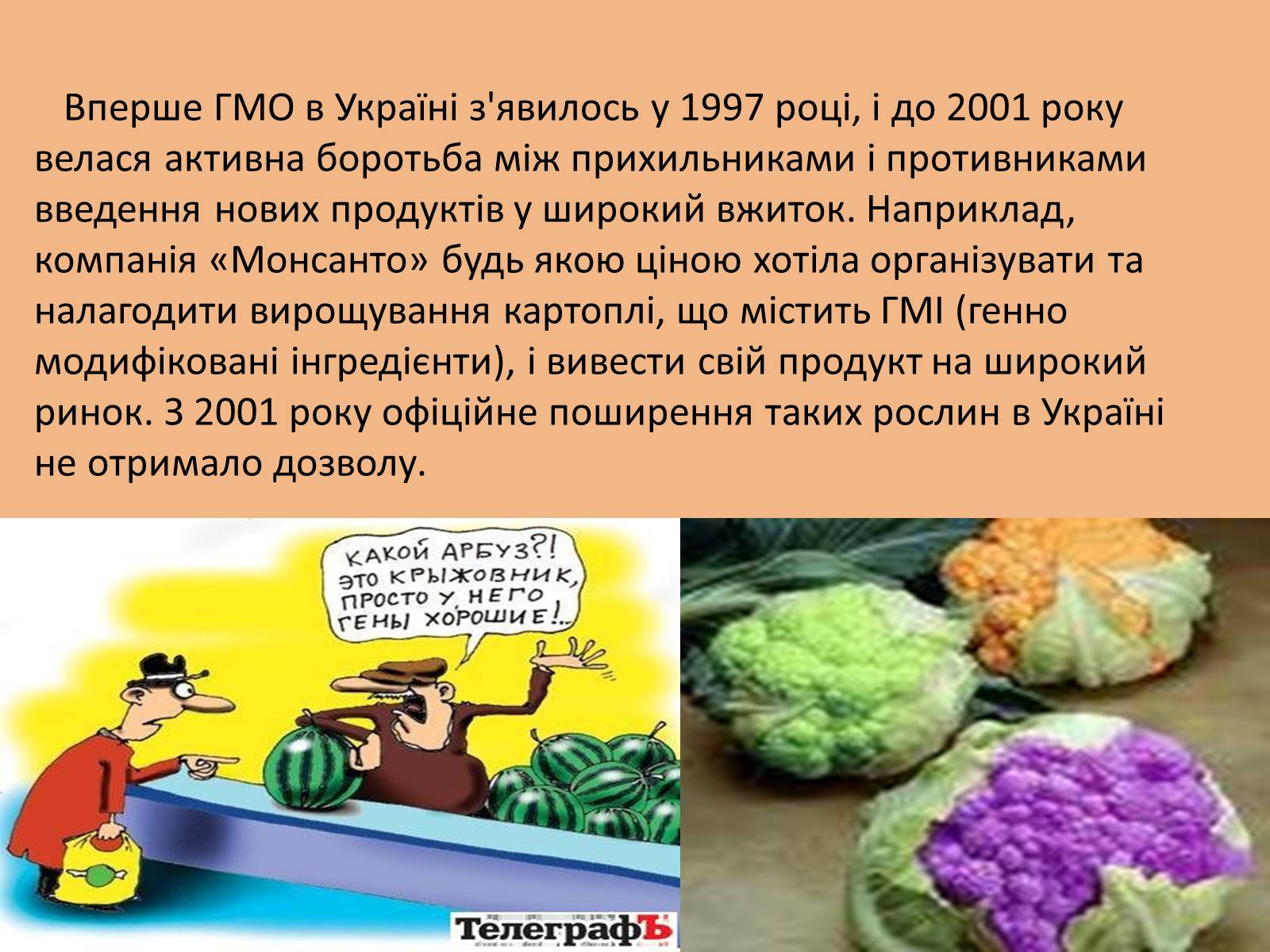 Презентація на тему «ГМО» (варіант 2) - Слайд #5 Презентація на тему «ГМО» (варіант 2) - Слайд #5