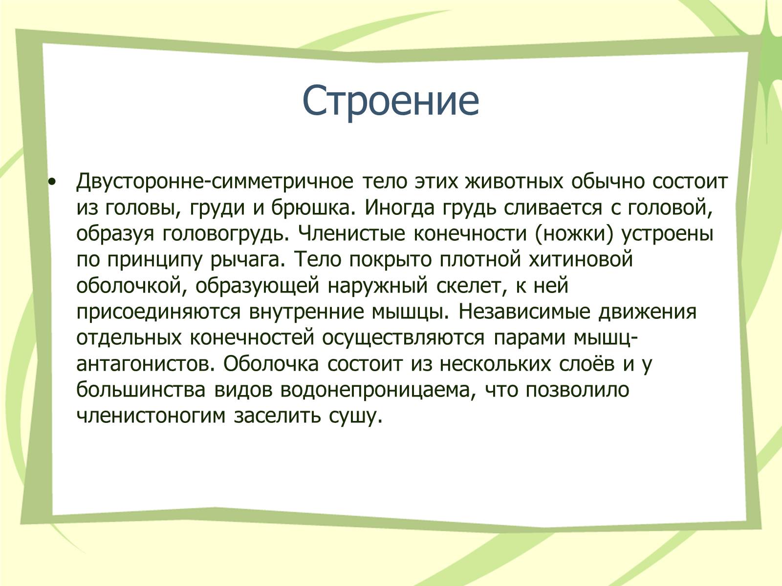 Презентація на тему «Членистоногие» - Слайд #3