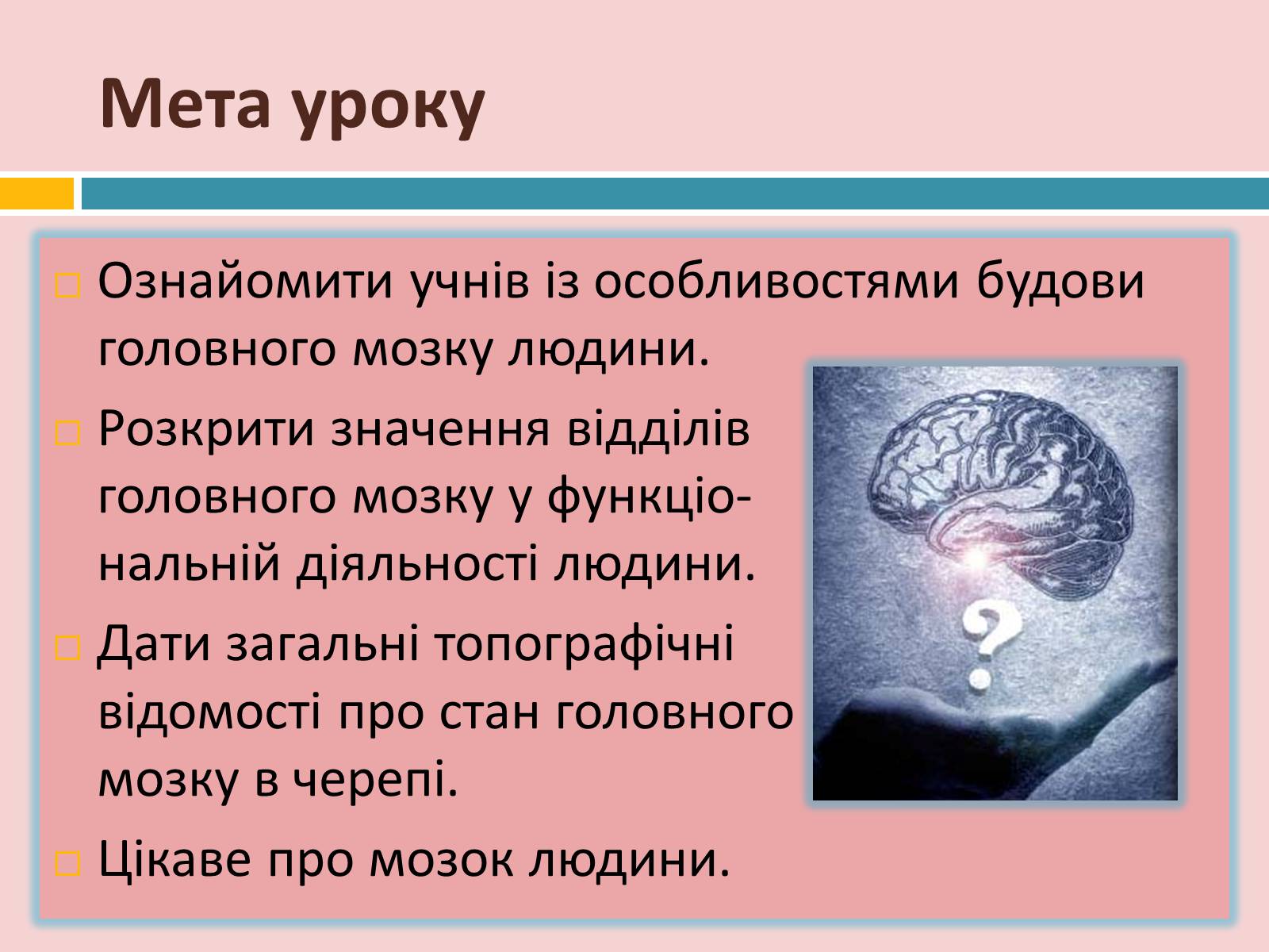 Презентація на тему «Головний мозок» (варіант 2) - Слайд #2 Презентація на тему «Головний мозок» (варіант 2) - Слайд #2