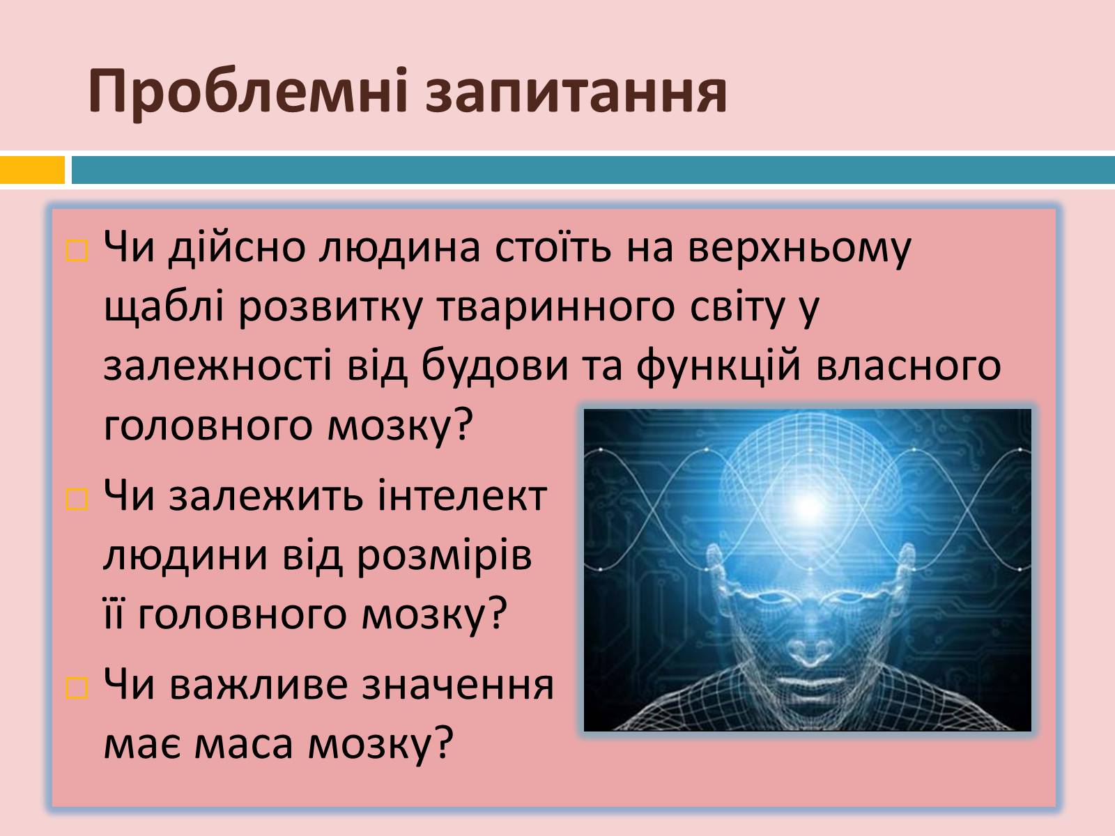 Презентація на тему «Головний мозок» (варіант 2) - Слайд #3 Презентація на тему «Головний мозок» (варіант 2) - Слайд #3