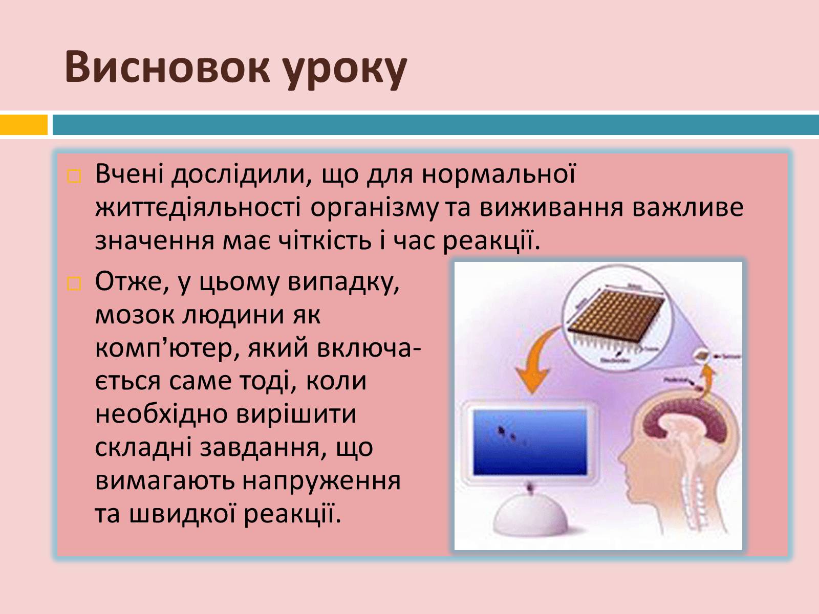 Презентація на тему «Головний мозок» (варіант 2) - Слайд #34 Презентація на тему «Головний мозок» (варіант 2) - Слайд #34