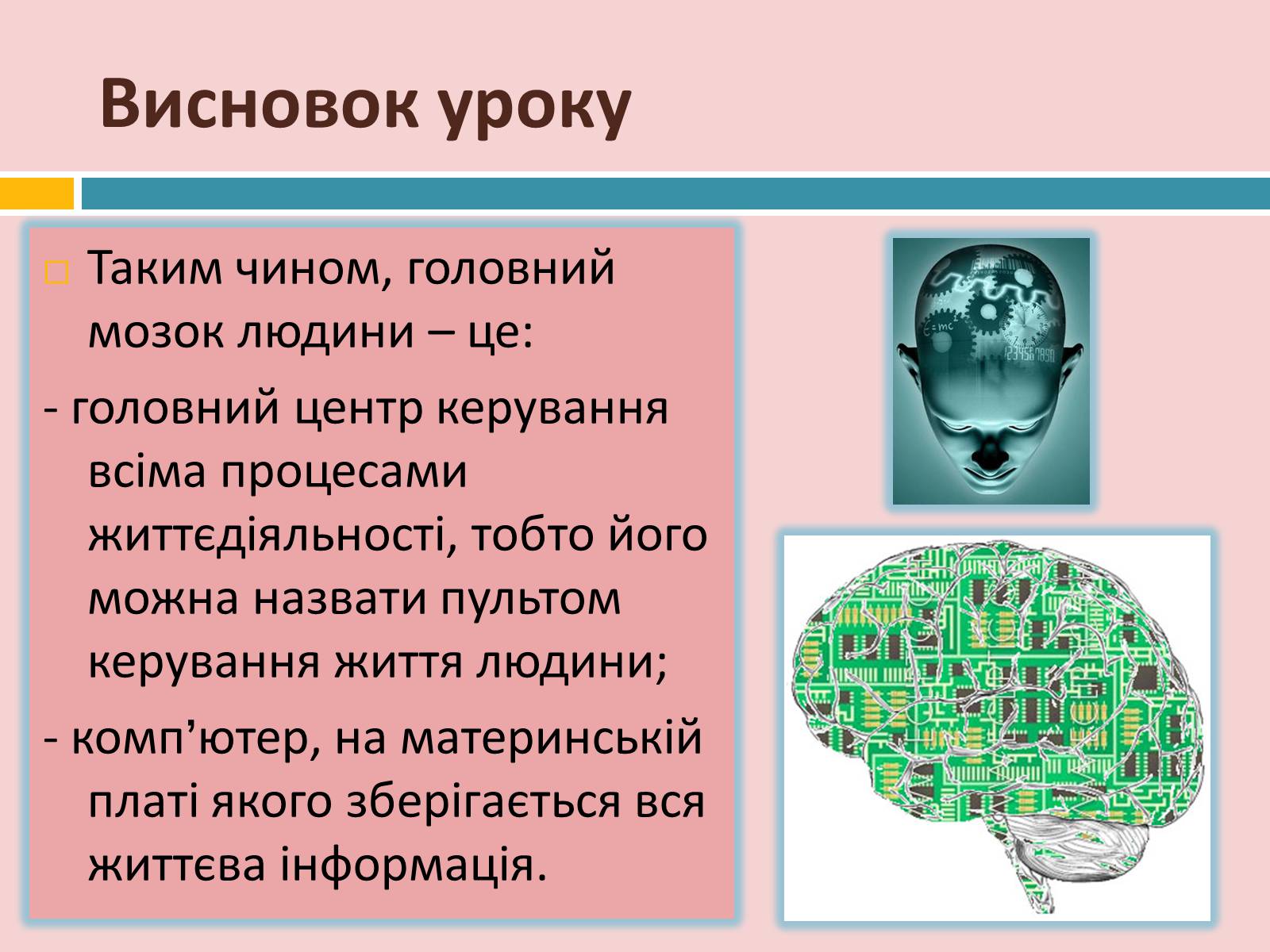 Презентація на тему «Головний мозок» (варіант 2) - Слайд #35 Презентація на тему «Головний мозок» (варіант 2) - Слайд #35