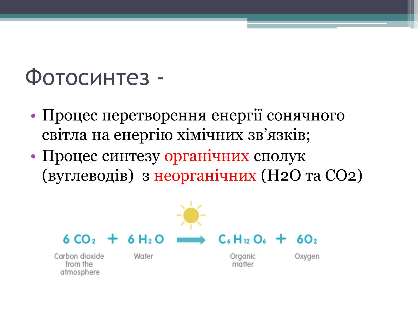Презентація на тему «Фотосинтез» (варіант 6) - Слайд #2 Презентація на тему «Фотосинтез» (варіант 6) - Слайд #2