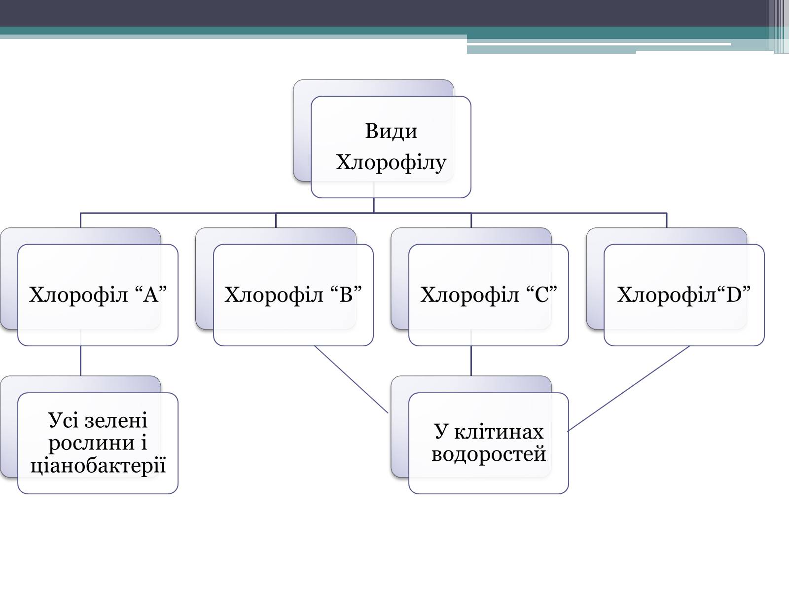 Презентація на тему «Фотосинтез» (варіант 6) - Слайд #4 Презентація на тему «Фотосинтез» (варіант 6) - Слайд #4