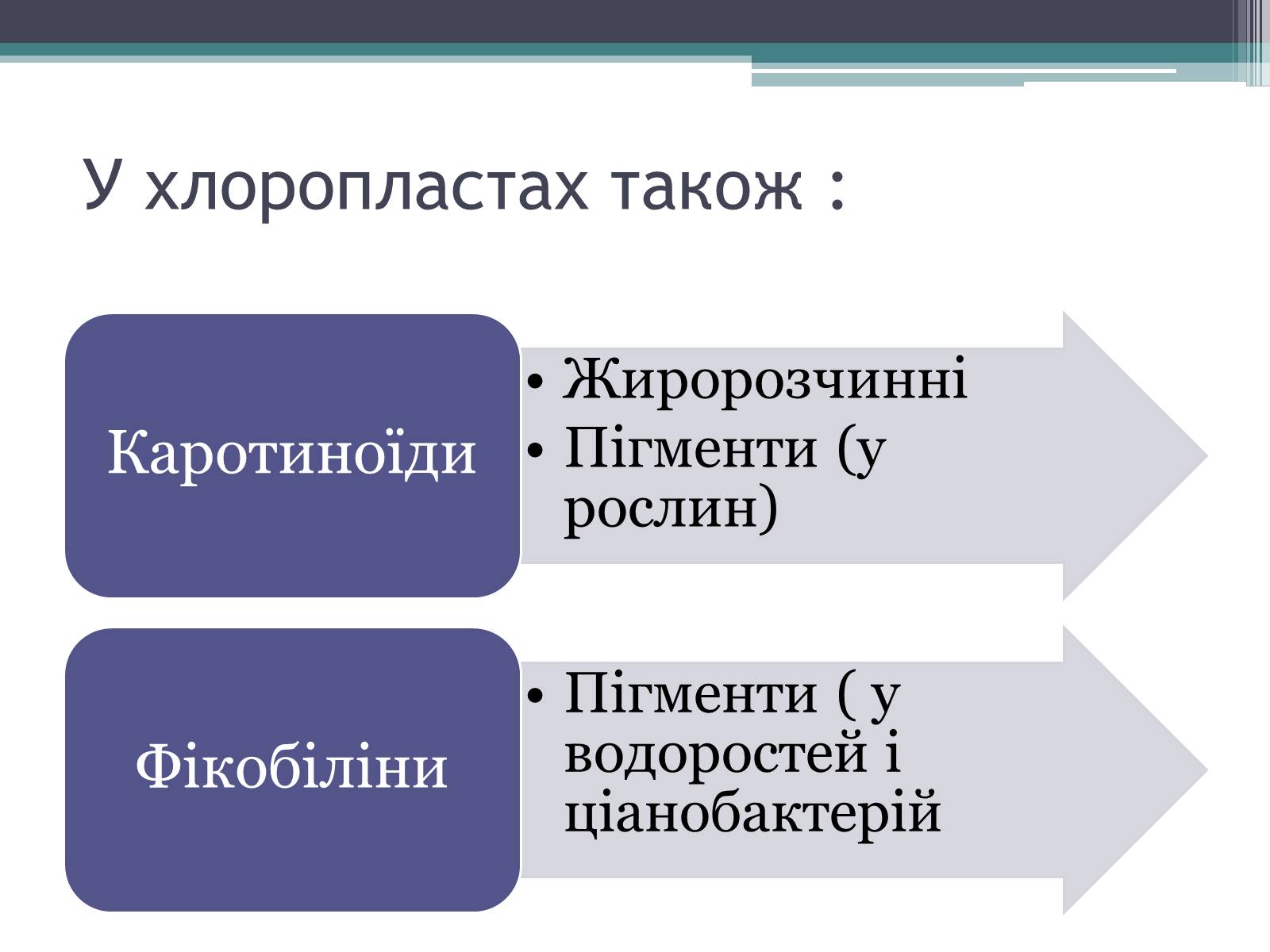 Презентація на тему «Фотосинтез» (варіант 6) - Слайд #5 Презентація на тему «Фотосинтез» (варіант 6) - Слайд #5