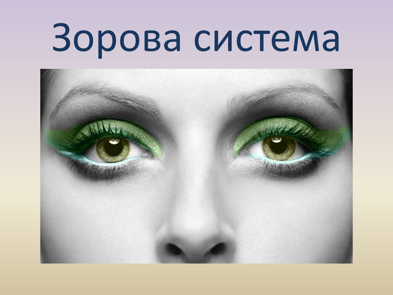 Презентація на тему «Зорова система» - Слайд #1 Презентація на тему «Зорова система» - Слайд #1