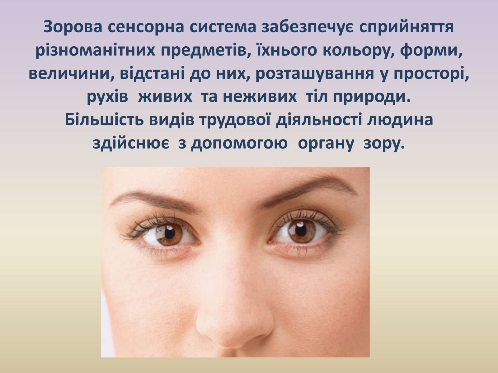 Презентація на тему «Зорова система» - Слайд #2 Презентація на тему «Зорова система» - Слайд #2