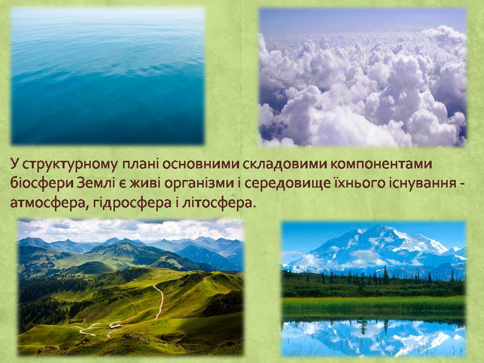 Презентація на тему «Вчення про біосферу» (варіант 2) - Слайд #6 Презентація на тему «Вчення про біосферу» (варіант 2) - Слайд #6