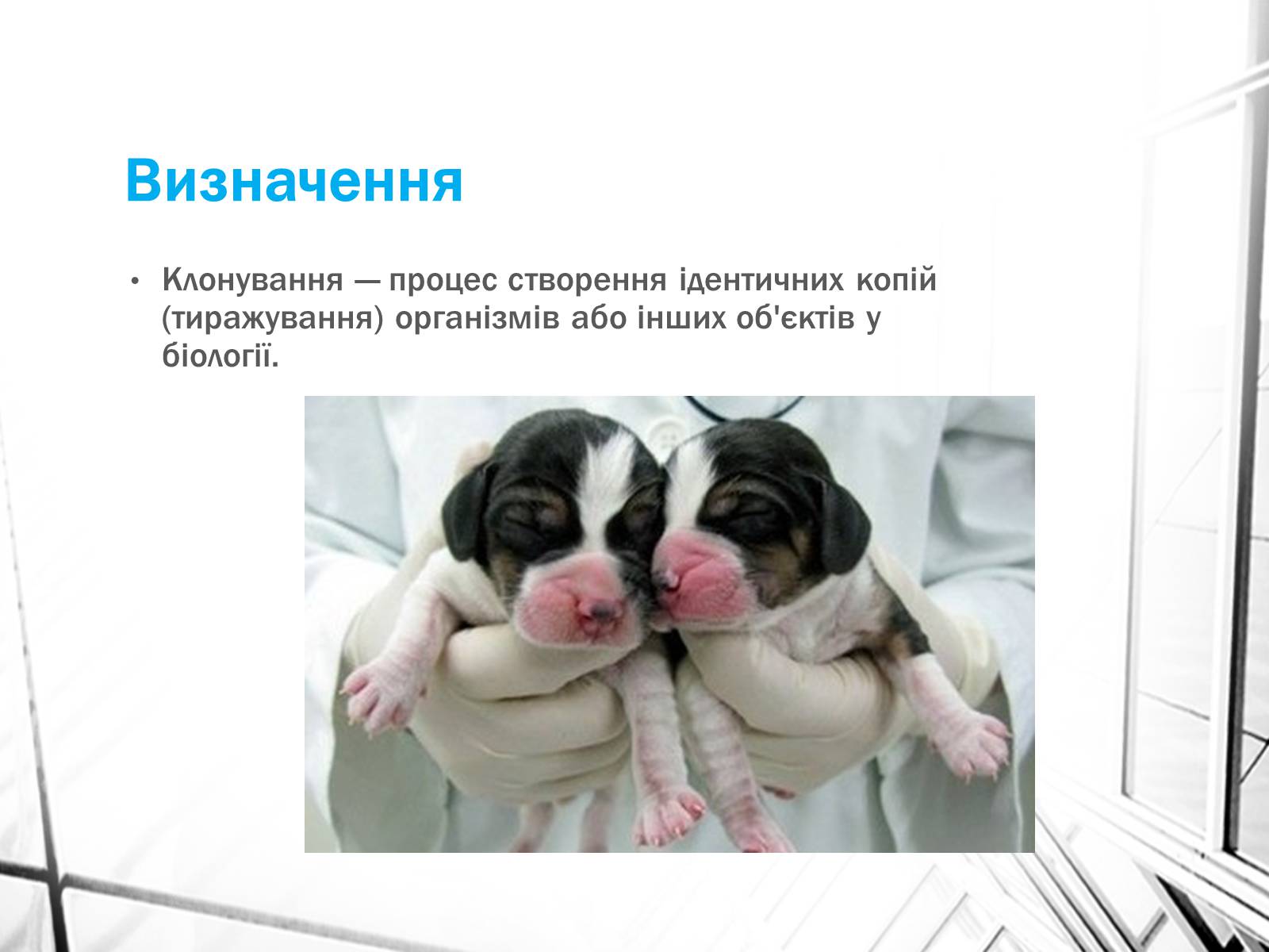 Презентація на тему «Клонування» (варіант 4) - Слайд #2 Презентація на тему «Клонування» (варіант 4) - Слайд #2