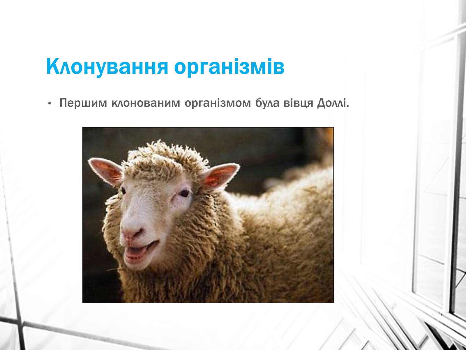 Презентація на тему «Клонування» (варіант 4) - Слайд #5 Презентація на тему «Клонування» (варіант 4) - Слайд #5