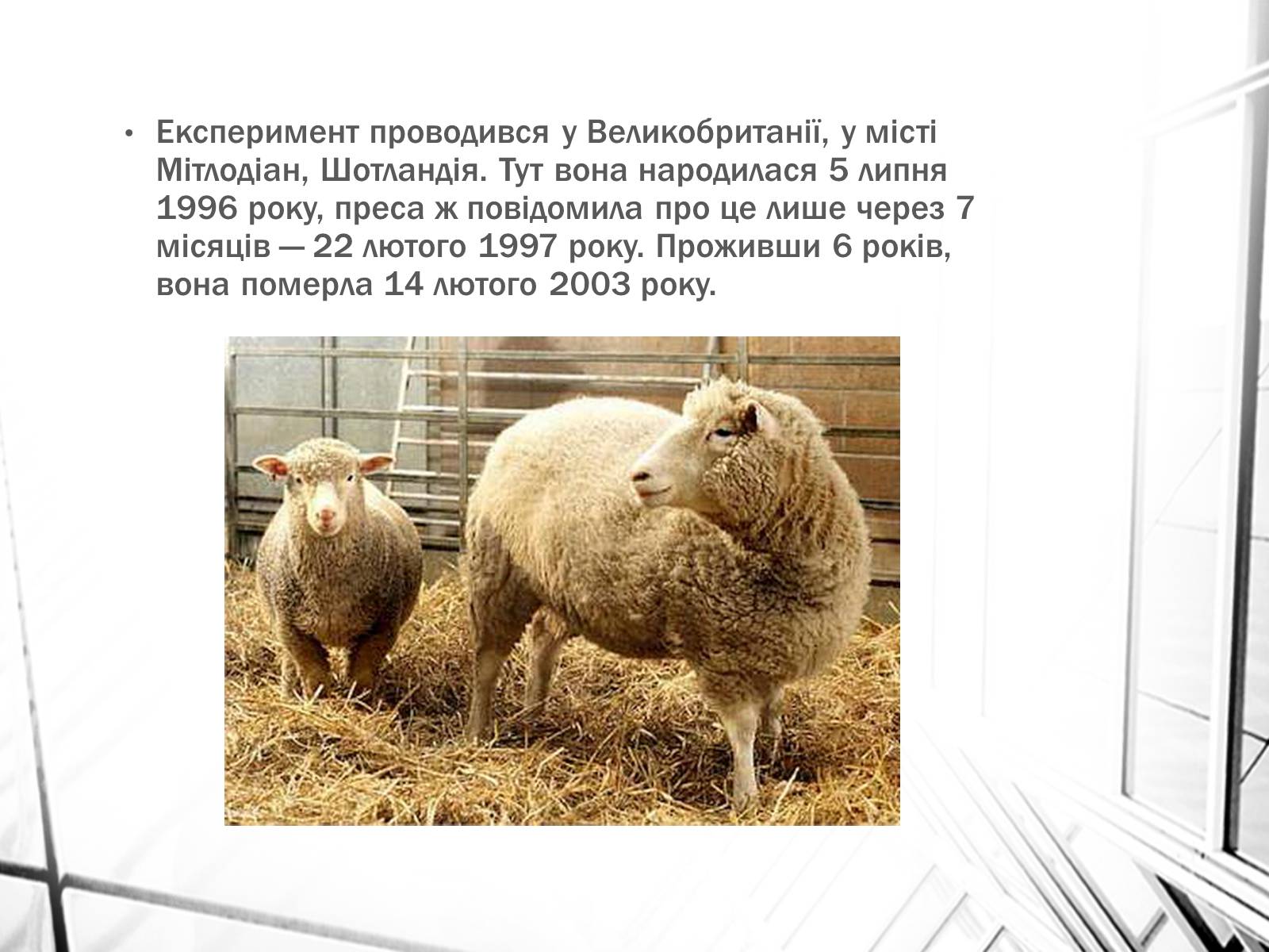 Презентація на тему «Клонування» (варіант 4) - Слайд #6 Презентація на тему «Клонування» (варіант 4) - Слайд #6