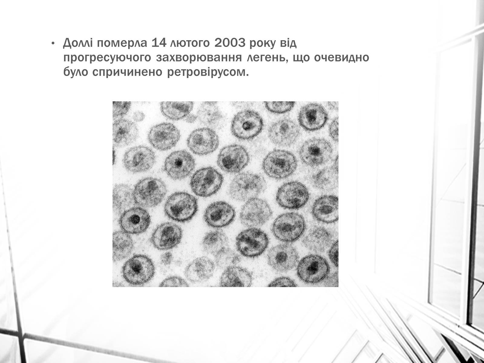 Презентація на тему «Клонування» (варіант 4) - Слайд #8 Презентація на тему «Клонування» (варіант 4) - Слайд #8