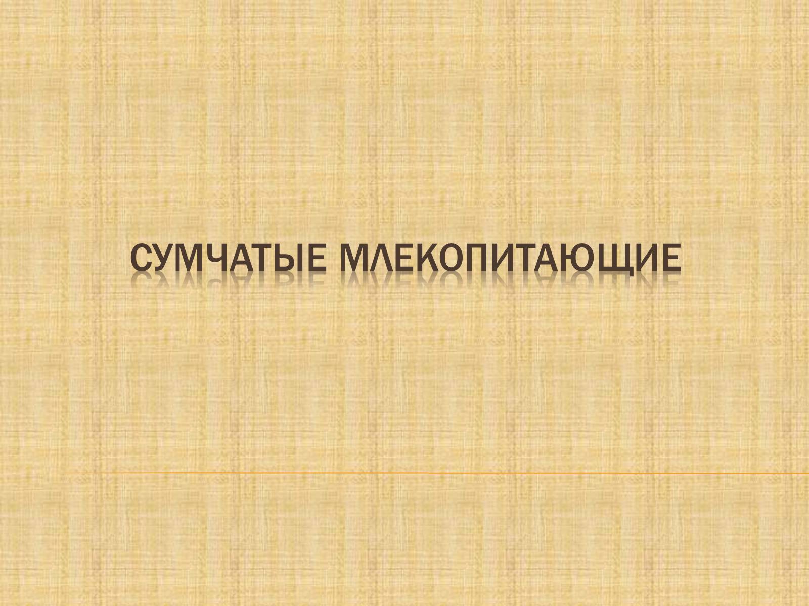 Презентація на тему «Сумчатые Млекопитающие» - Слайд #1