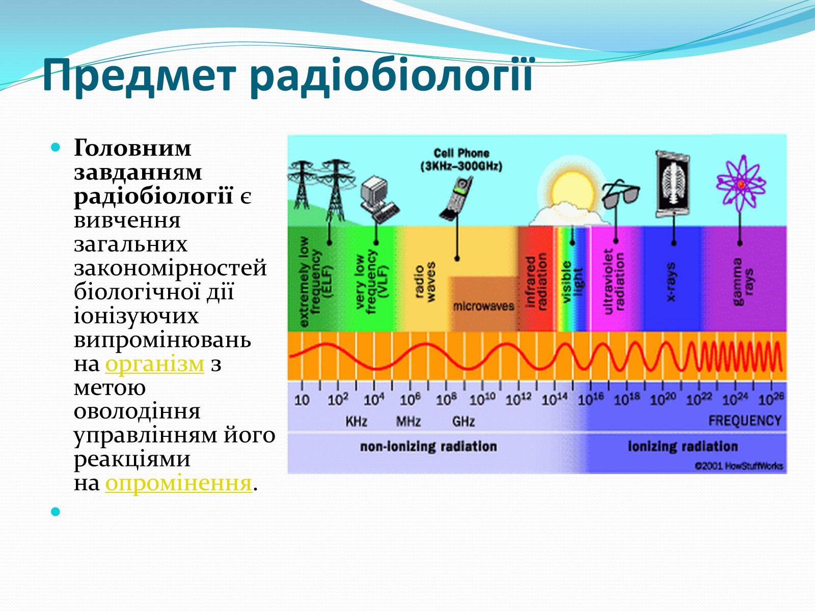 Презентація на тему «Радіобіологія» - Слайд #3 Презентація на тему «Радіобіологія» - Слайд #3
