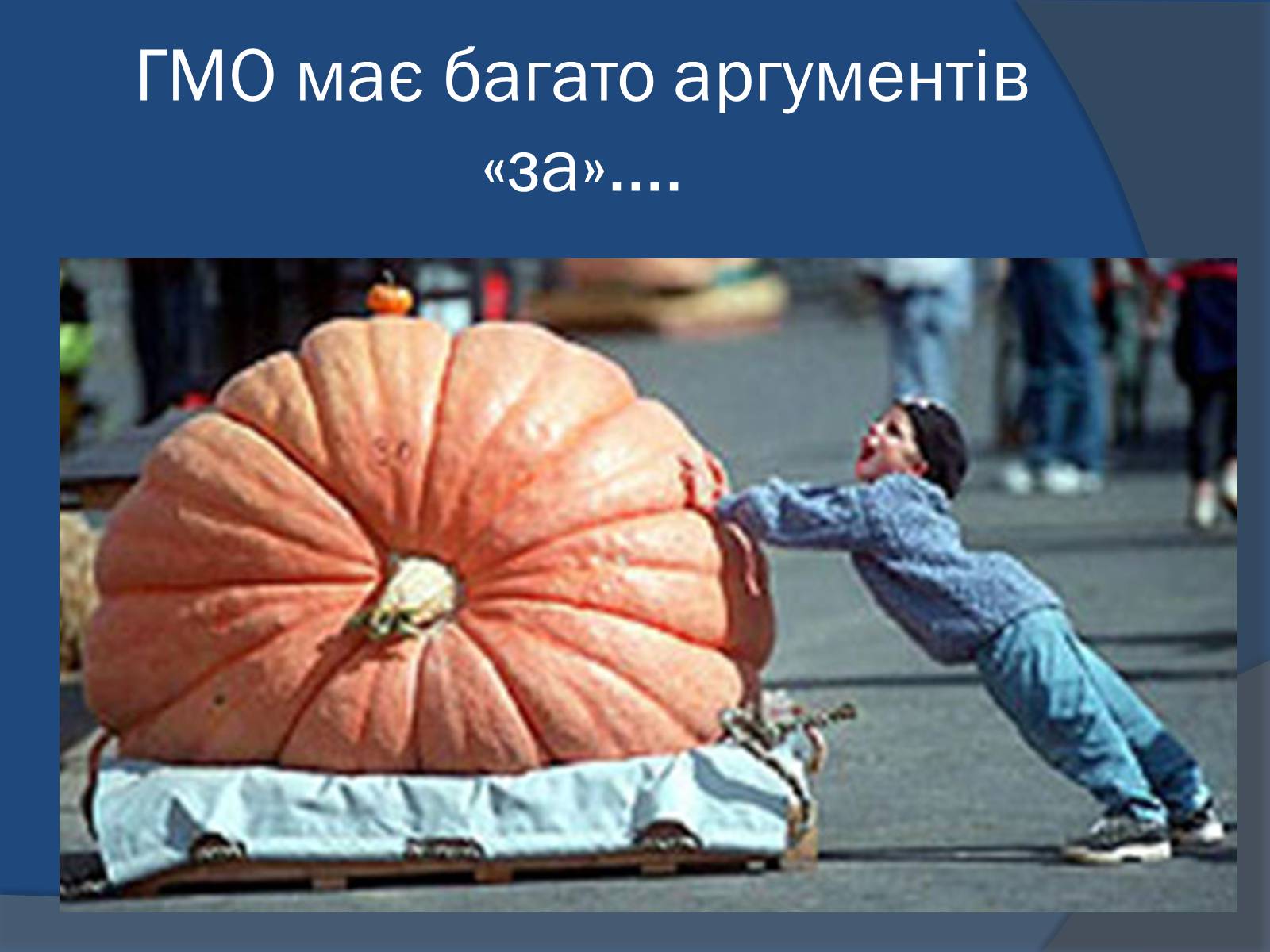 Презентація на тему «Трансгенні організми: факти і роздуми» - Слайд #15 Презентація на тему «Трансгенні організми: факти і роздуми» - Слайд #15