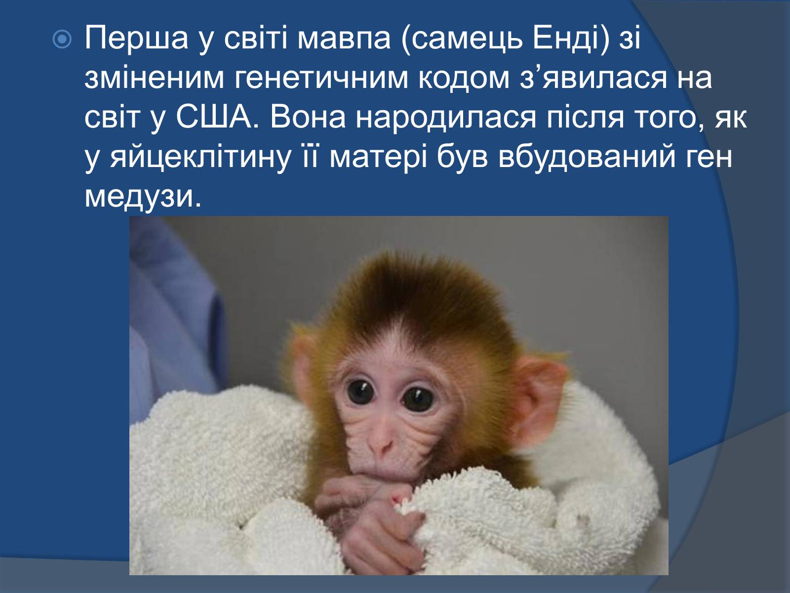 Презентація на тему «Трансгенні організми: факти і роздуми» - Слайд #8 Презентація на тему «Трансгенні організми: факти і роздуми» - Слайд #8