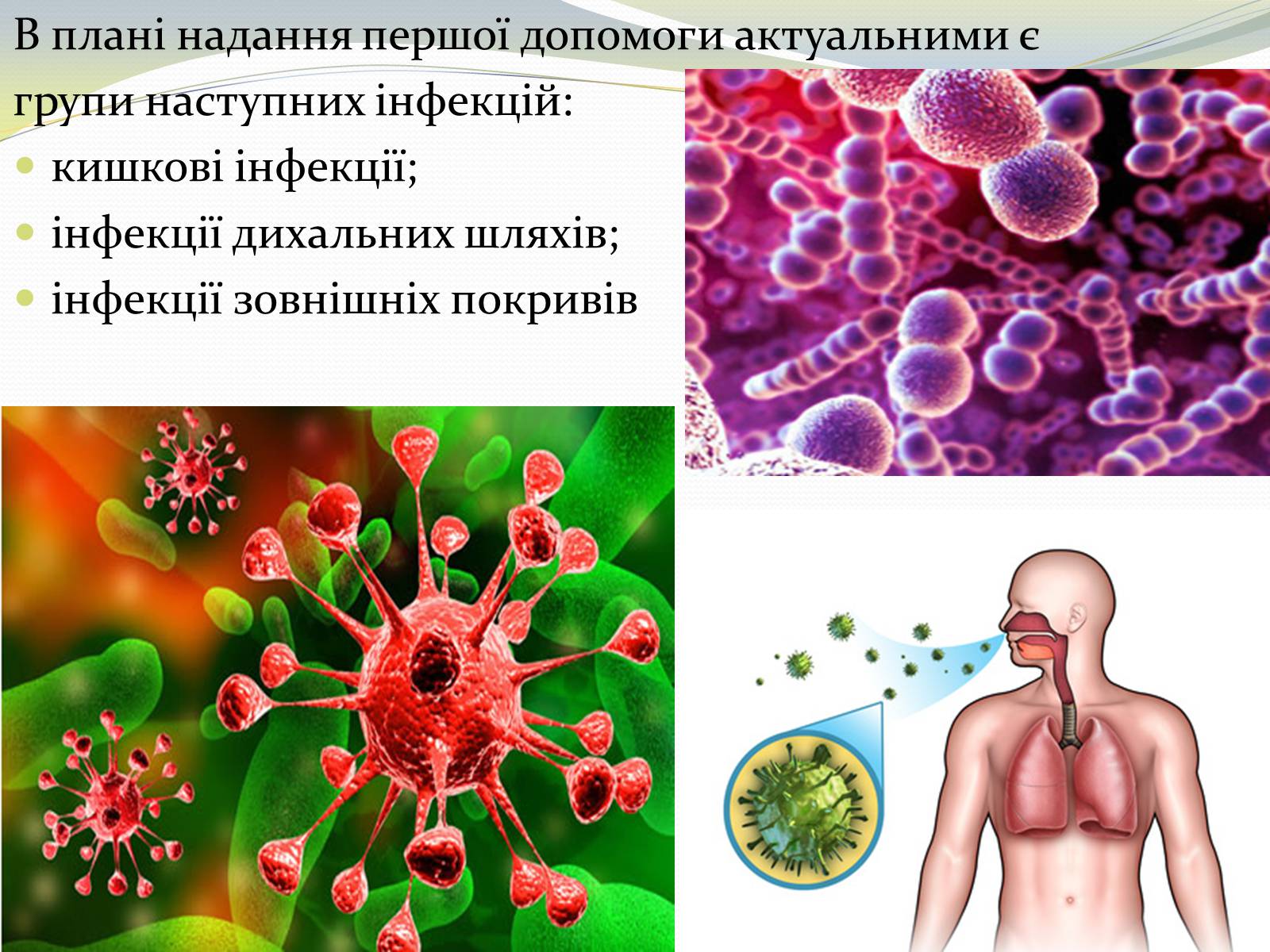 Презентація на тему «Інфекційні захворювання» (варіант 8) - Слайд #5 Презентація на тему «Інфекційні захворювання» (варіант 8) - Слайд #5