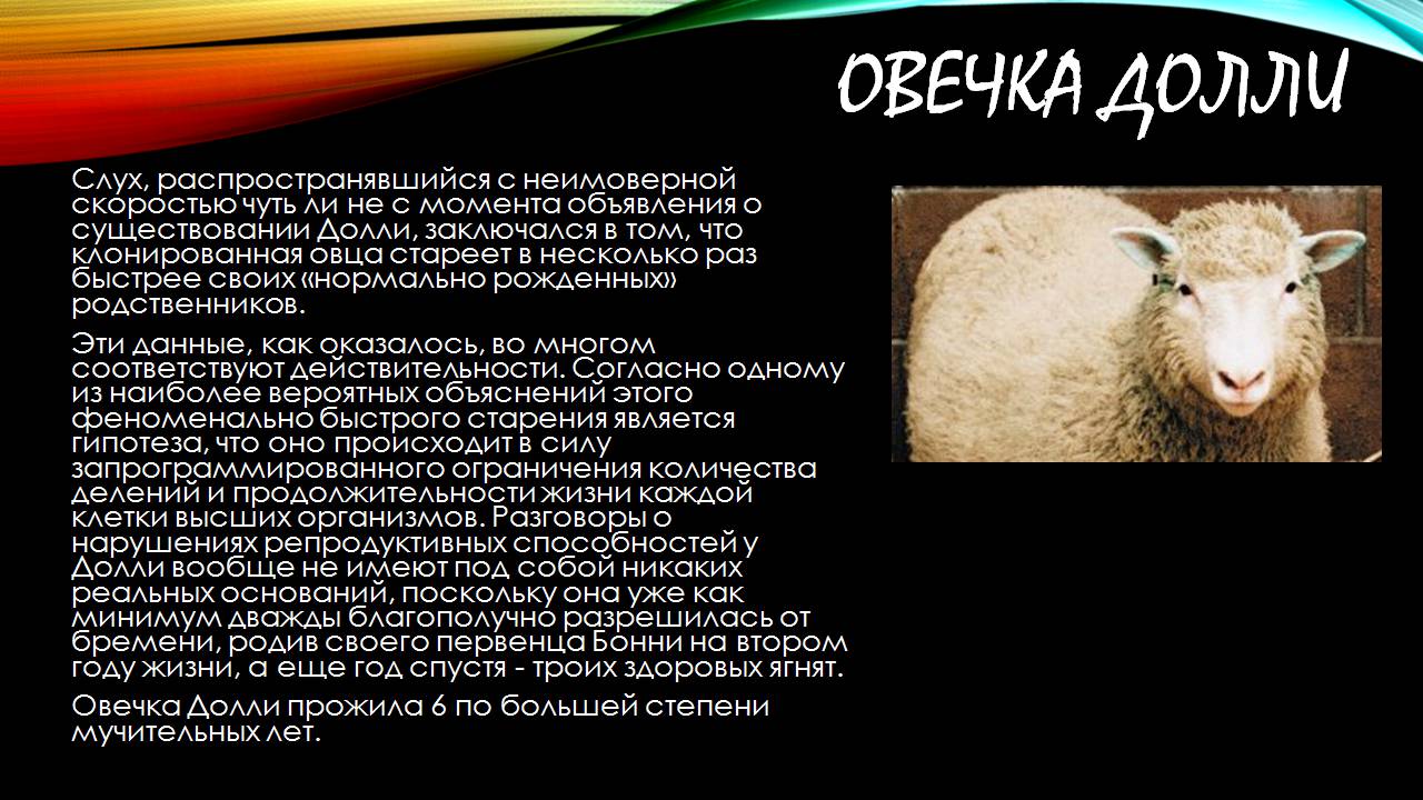 Презентація на тему «Клонування» (варіант 17) - Слайд #6 Презентація на тему «Клонування» (варіант 17) - Слайд #6