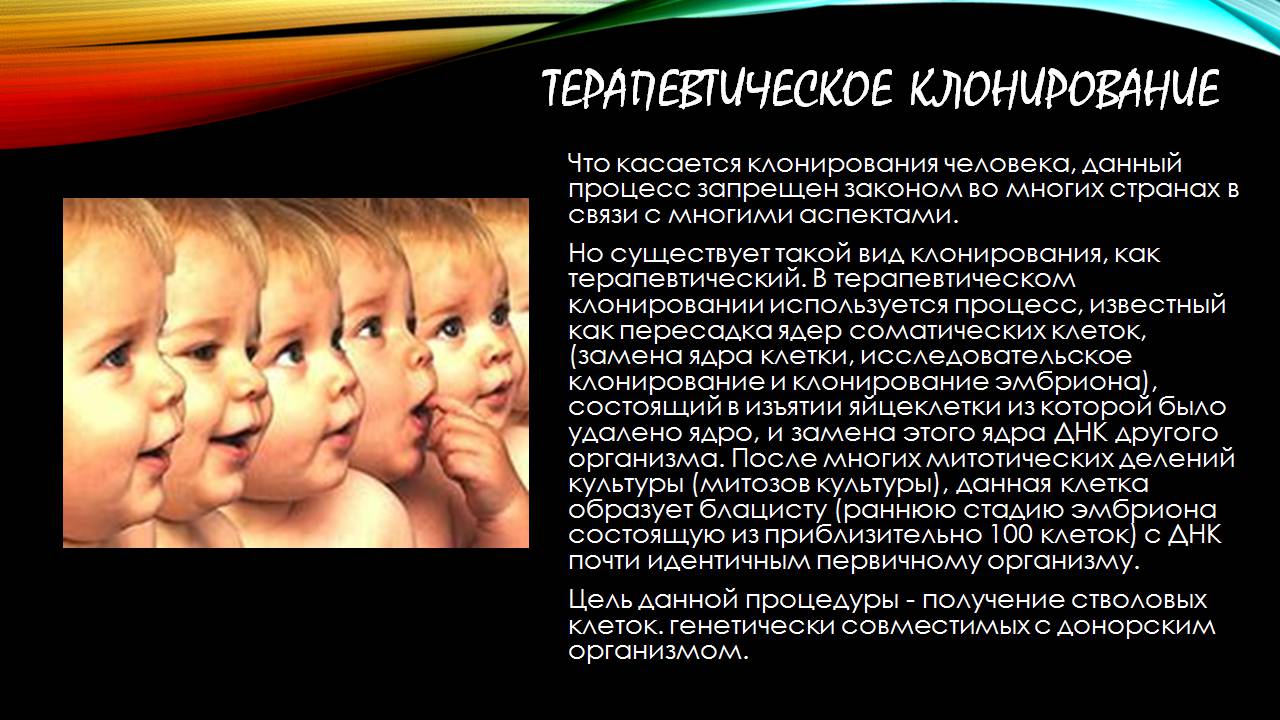 Презентація на тему «Клонування» (варіант 17) - Слайд #7 Презентація на тему «Клонування» (варіант 17) - Слайд #7