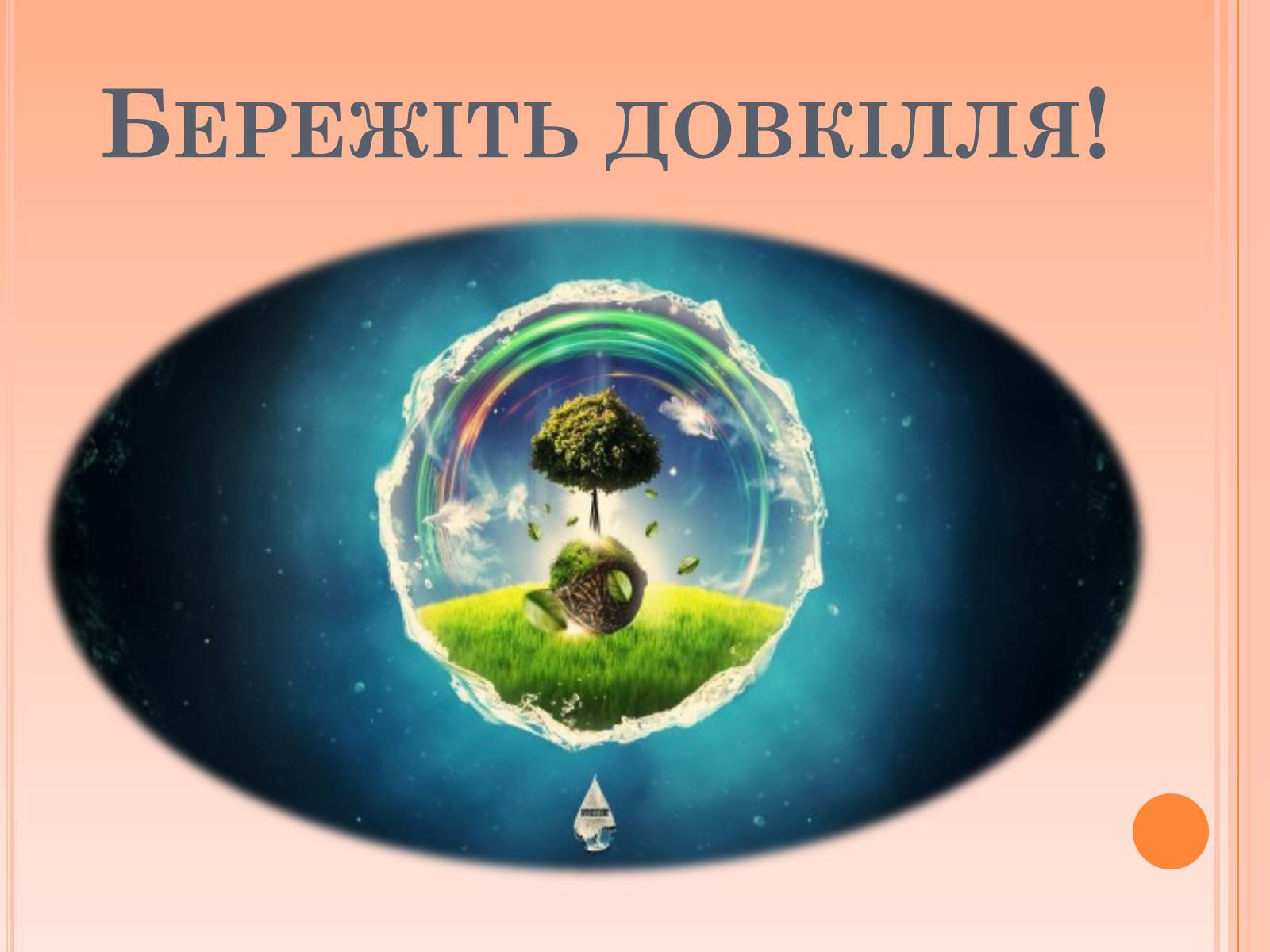 Презентація на тему «Біорізноманіття» (варіант 5) - Слайд #14 Презентація на тему «Біорізноманіття» (варіант 5) - Слайд #14
