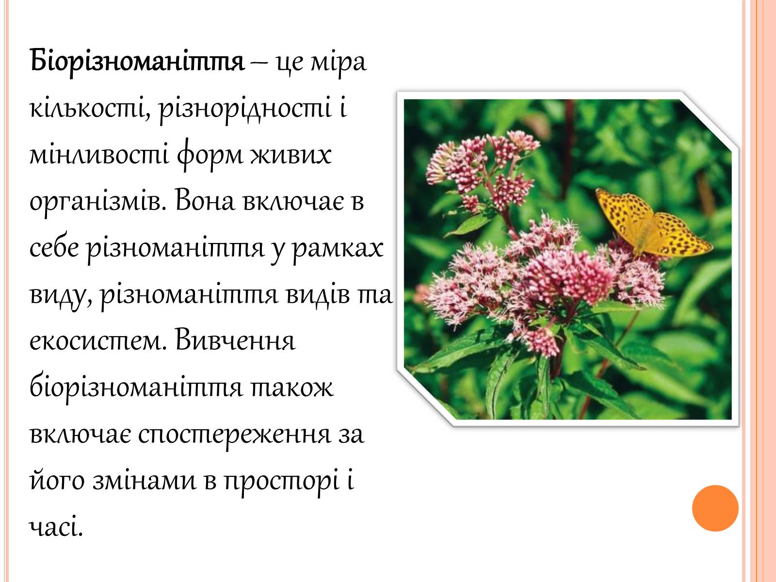 Презентація на тему «Біорізноманіття» (варіант 5) - Слайд #2 Презентація на тему «Біорізноманіття» (варіант 5) - Слайд #2