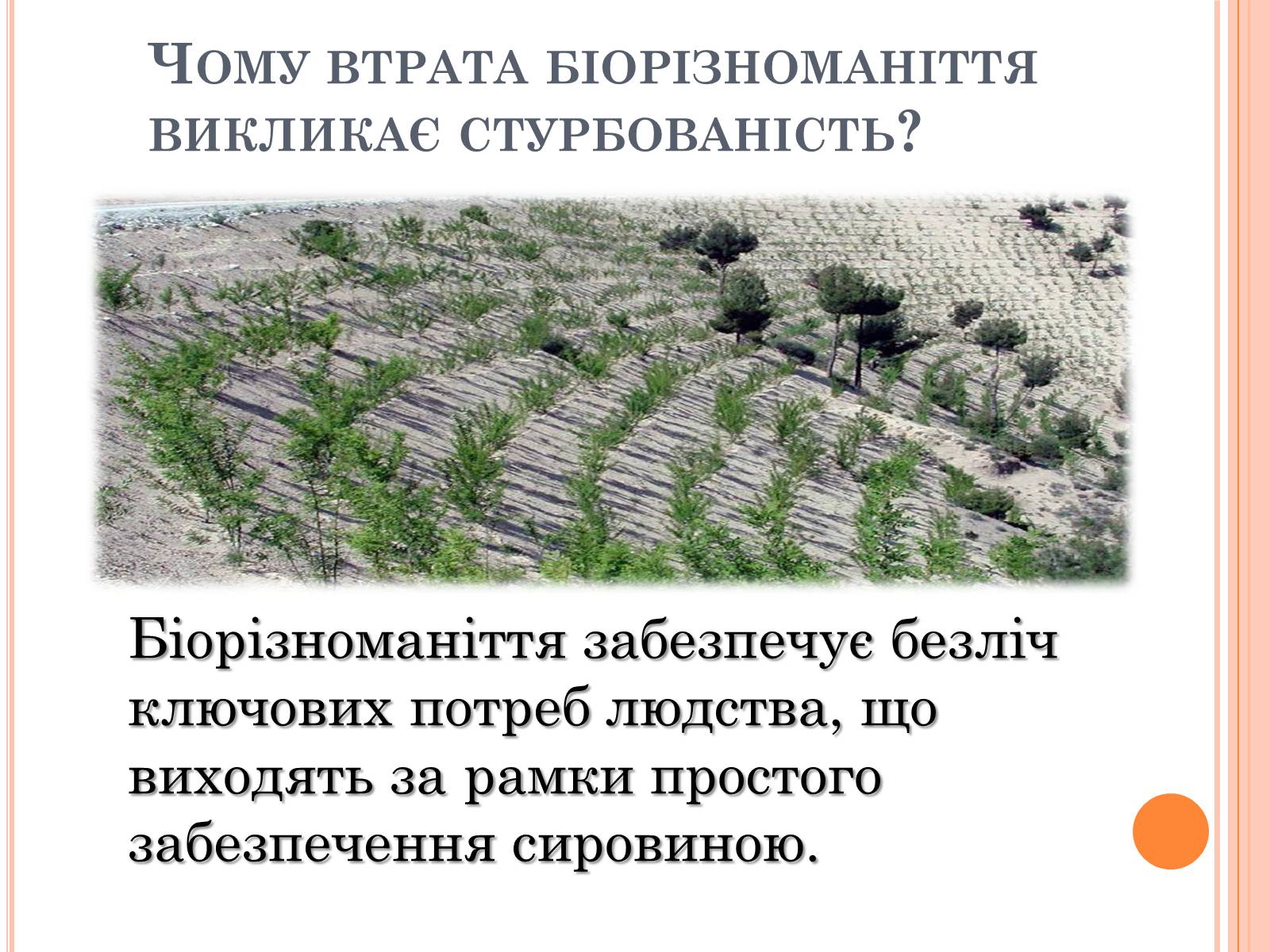 Презентація на тему «Біорізноманіття» (варіант 5) - Слайд #4 Презентація на тему «Біорізноманіття» (варіант 5) - Слайд #4