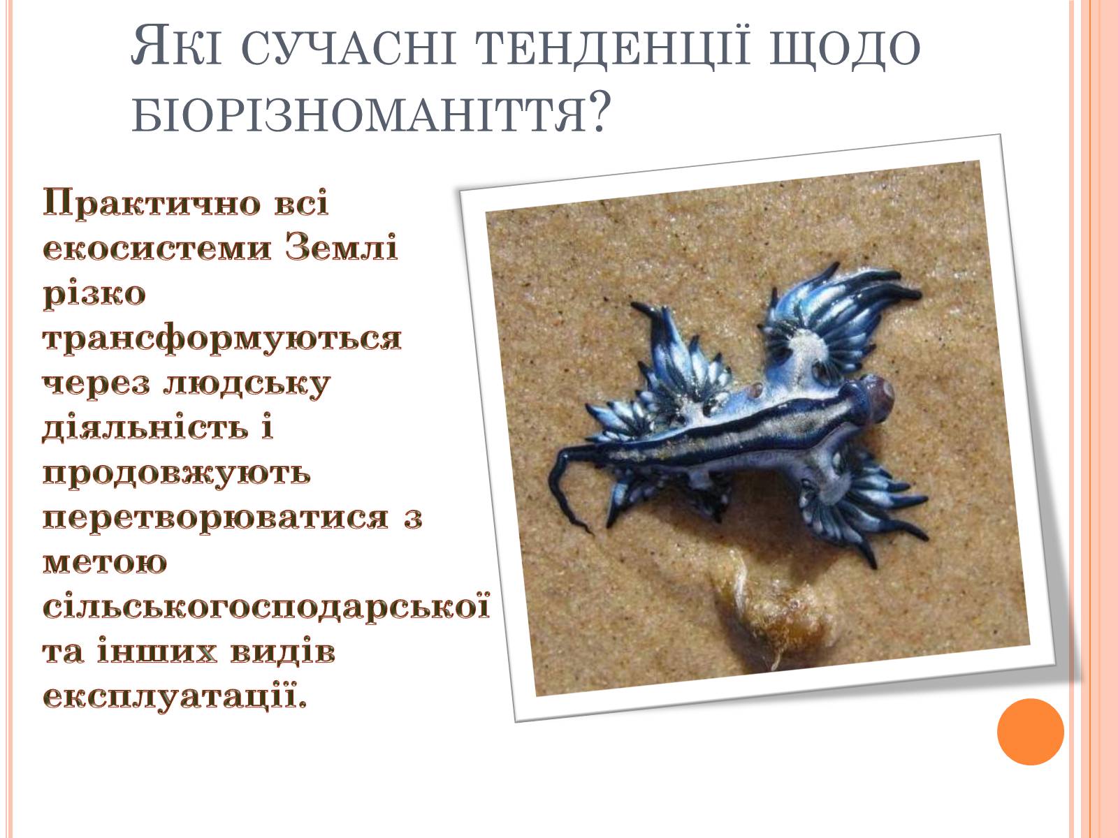 Презентація на тему «Біорізноманіття» (варіант 5) - Слайд #6 Презентація на тему «Біорізноманіття» (варіант 5) - Слайд #6