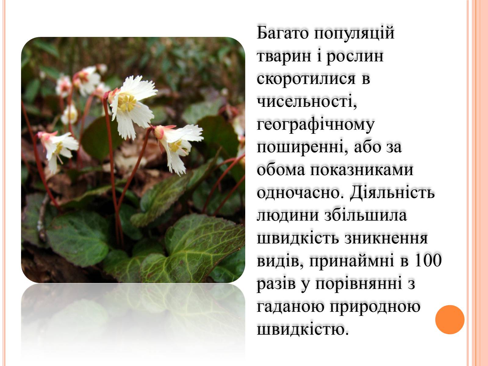 Презентація на тему «Біорізноманіття» (варіант 5) - Слайд #7 Презентація на тему «Біорізноманіття» (варіант 5) - Слайд #7