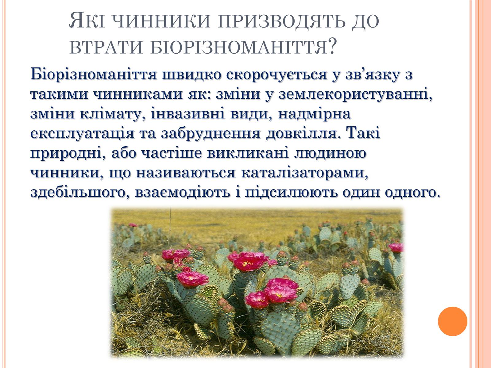 Презентація на тему «Біорізноманіття» (варіант 5) - Слайд #8 Презентація на тему «Біорізноманіття» (варіант 5) - Слайд #8
