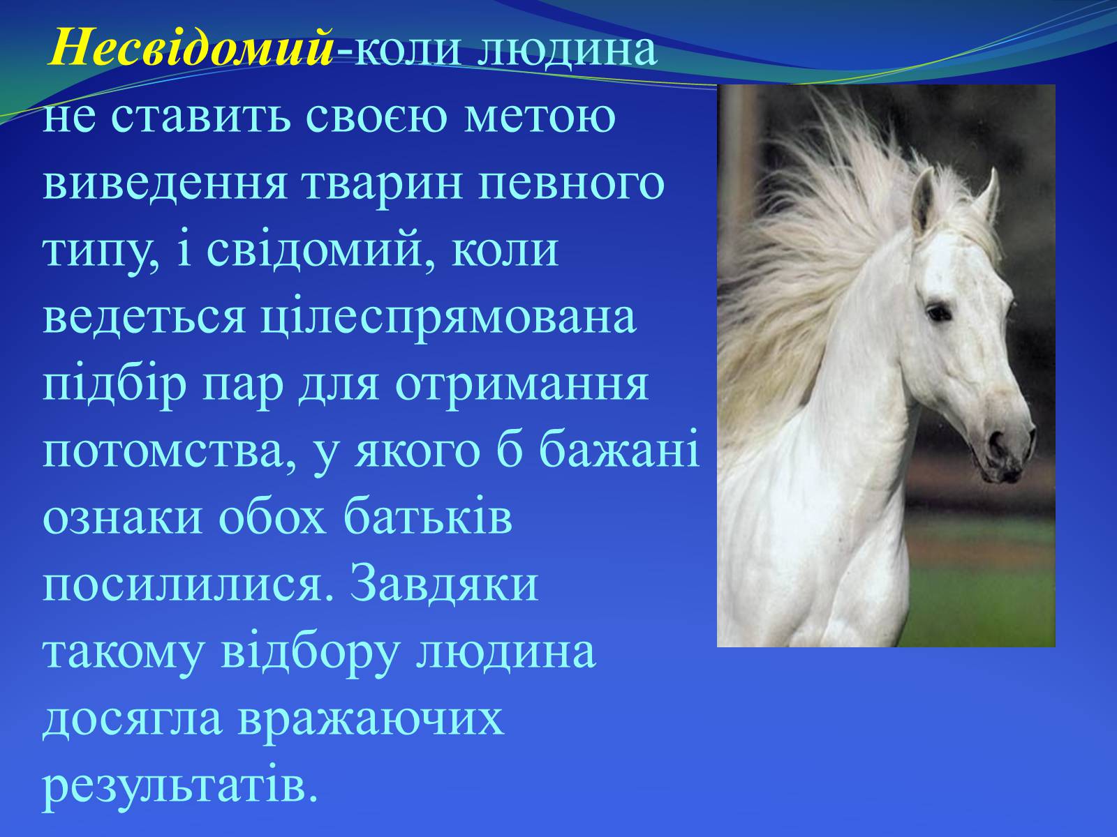 Презентація на тему «Селекция коней» - Слайд #7 Презентація на тему «Селекция коней» - Слайд #7