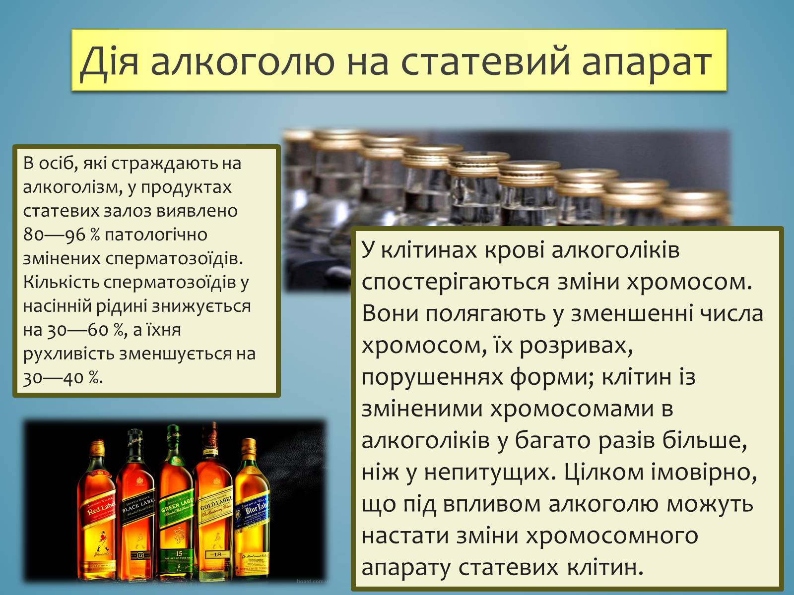 Презентація на тему «Вплив спиртів на організм» - Слайд #6 Презентація на тему «Вплив спиртів на організм» - Слайд #6
