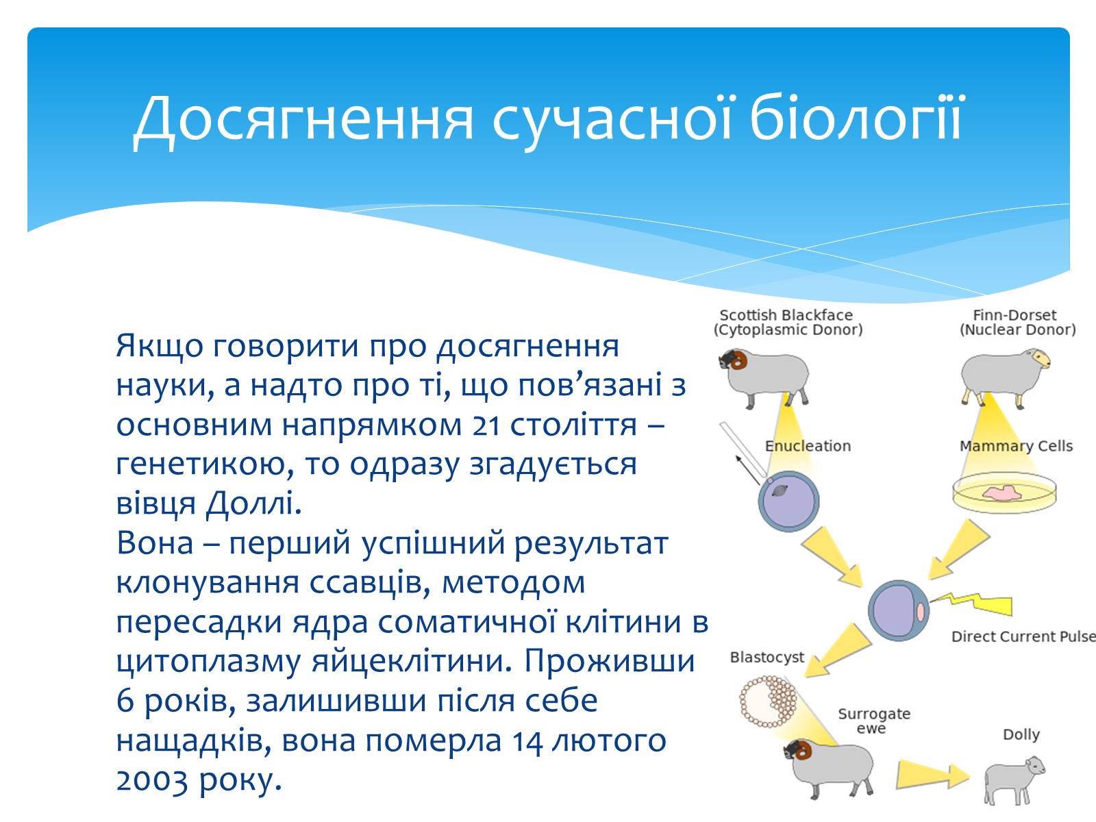 Презентація на тему «Біологія в ХХІ столітті. Генетика. Штучний геном» - Слайд #5 Презентація на тему «Біологія в ХХІ столітті. Генетика. Штучний геном» - Слайд #5