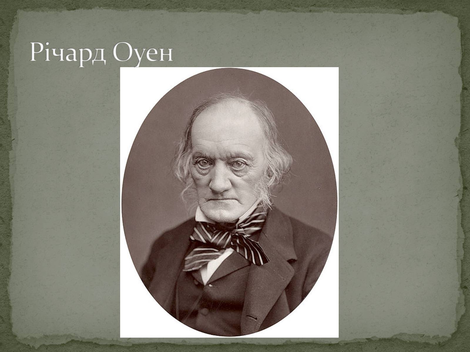 Презентація на тему «Історичний розвиток і різноманітність органічного світу» - Слайд #4 Презентація на тему «Історичний розвиток і різноманітність органічного світу» - Слайд #4