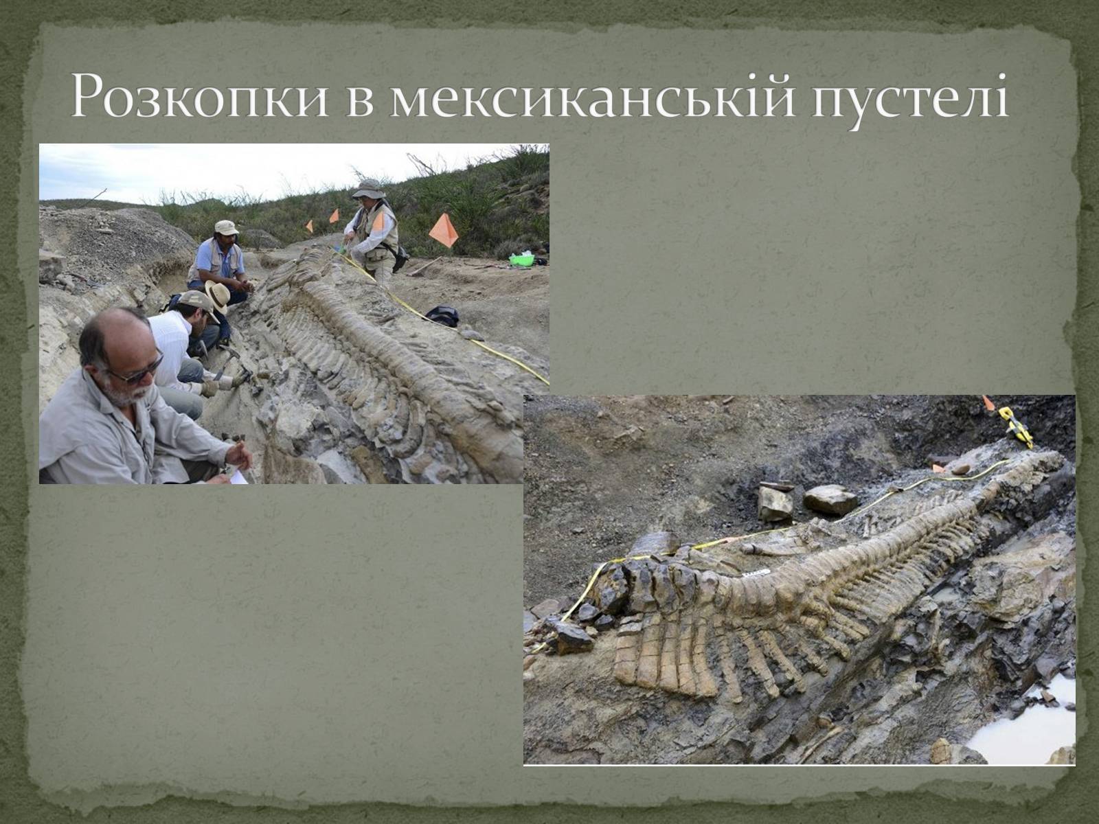 Презентація на тему «Історичний розвиток і різноманітність органічного світу» - Слайд #5 Презентація на тему «Історичний розвиток і різноманітність органічного світу» - Слайд #5