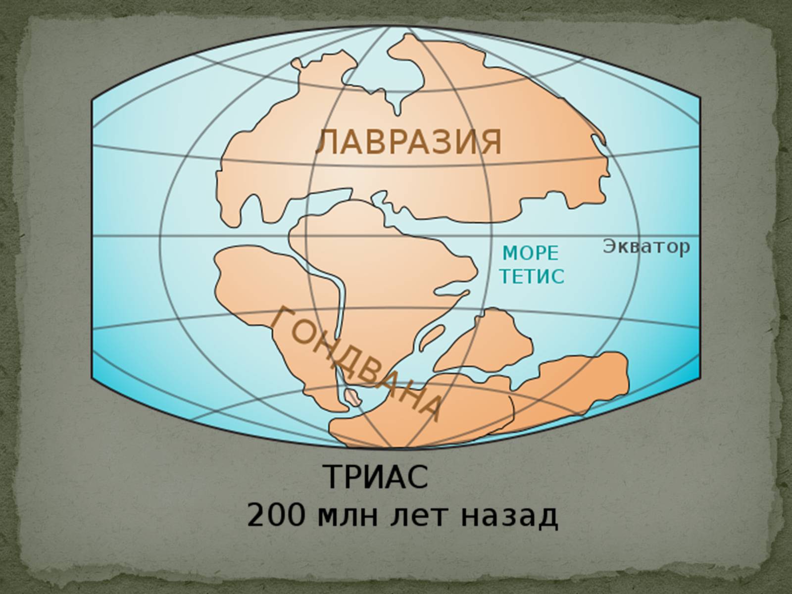 Презентація на тему «Історичний розвиток і різноманітність органічного світу» - Слайд #6 Презентація на тему «Історичний розвиток і різноманітність органічного світу» - Слайд #6