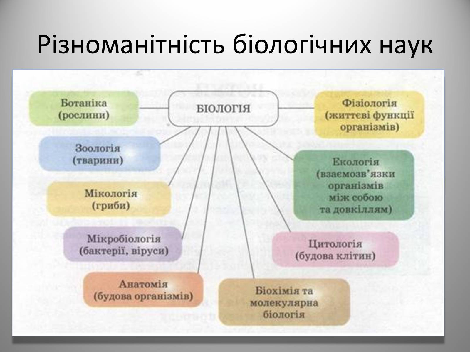 Презентація на тему «Біологія» (варіант 2) - Слайд #4 Презентація на тему «Біологія» (варіант 2) - Слайд #4