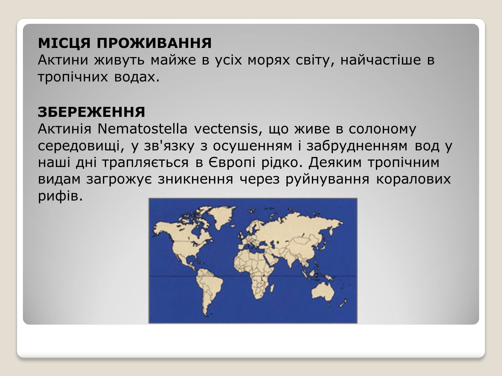 Презентація на тему «Актинії» - Слайд #8 Презентація на тему «Актинії» - Слайд #8