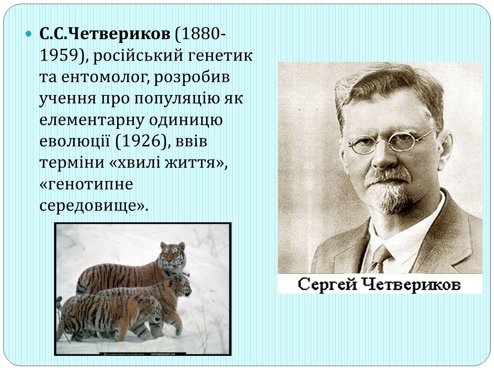 Презентація на тему «Синтетична гіпотеза еволюції» (варіант 2) - Слайд #5 Презентація на тему «Синтетична гіпотеза еволюції» (варіант 2) - Слайд #5