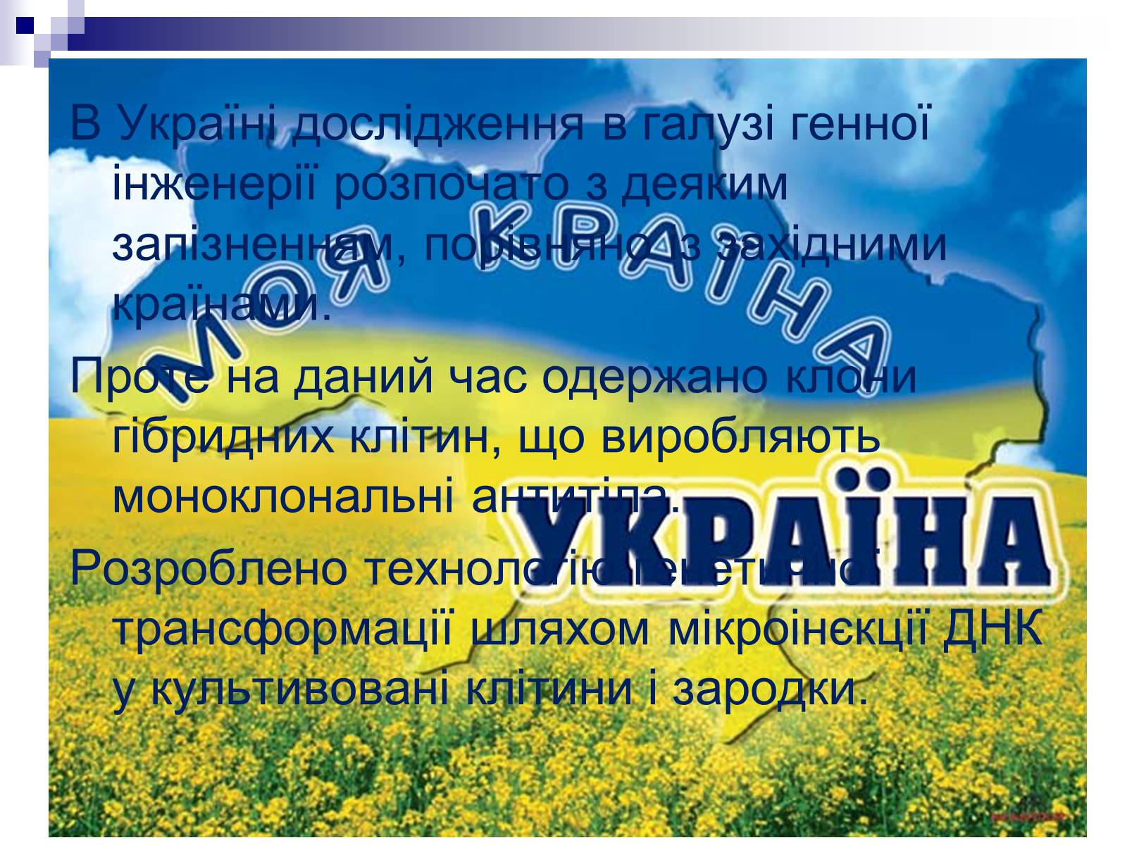 Презентація на тему «Генетична інженерія» (варіант 2) - Слайд #10 Презентація на тему «Генетична інженерія» (варіант 2) - Слайд #10