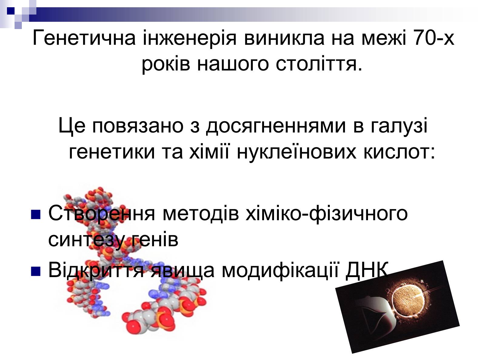 Презентація на тему «Генетична інженерія» (варіант 2) - Слайд #2 Презентація на тему «Генетична інженерія» (варіант 2) - Слайд #2