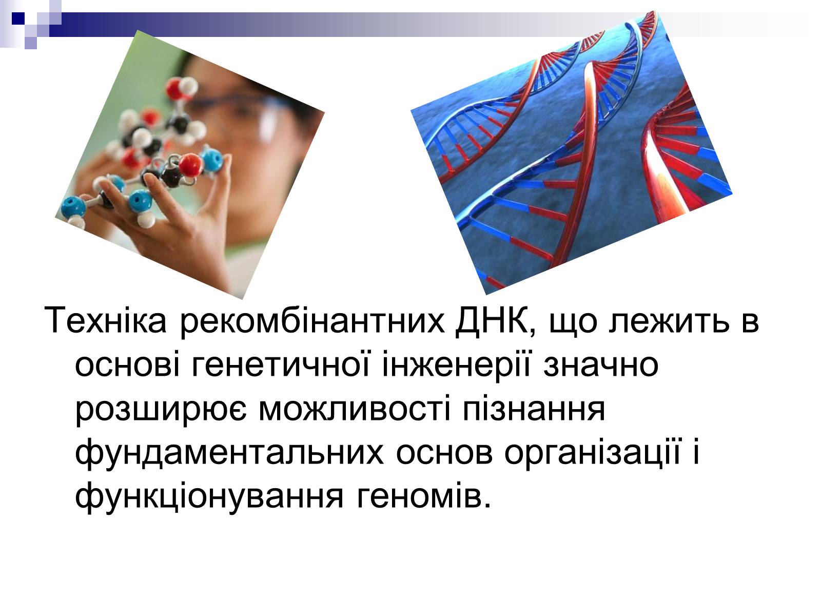 Презентація на тему «Генетична інженерія» (варіант 2) - Слайд #4 Презентація на тему «Генетична інженерія» (варіант 2) - Слайд #4