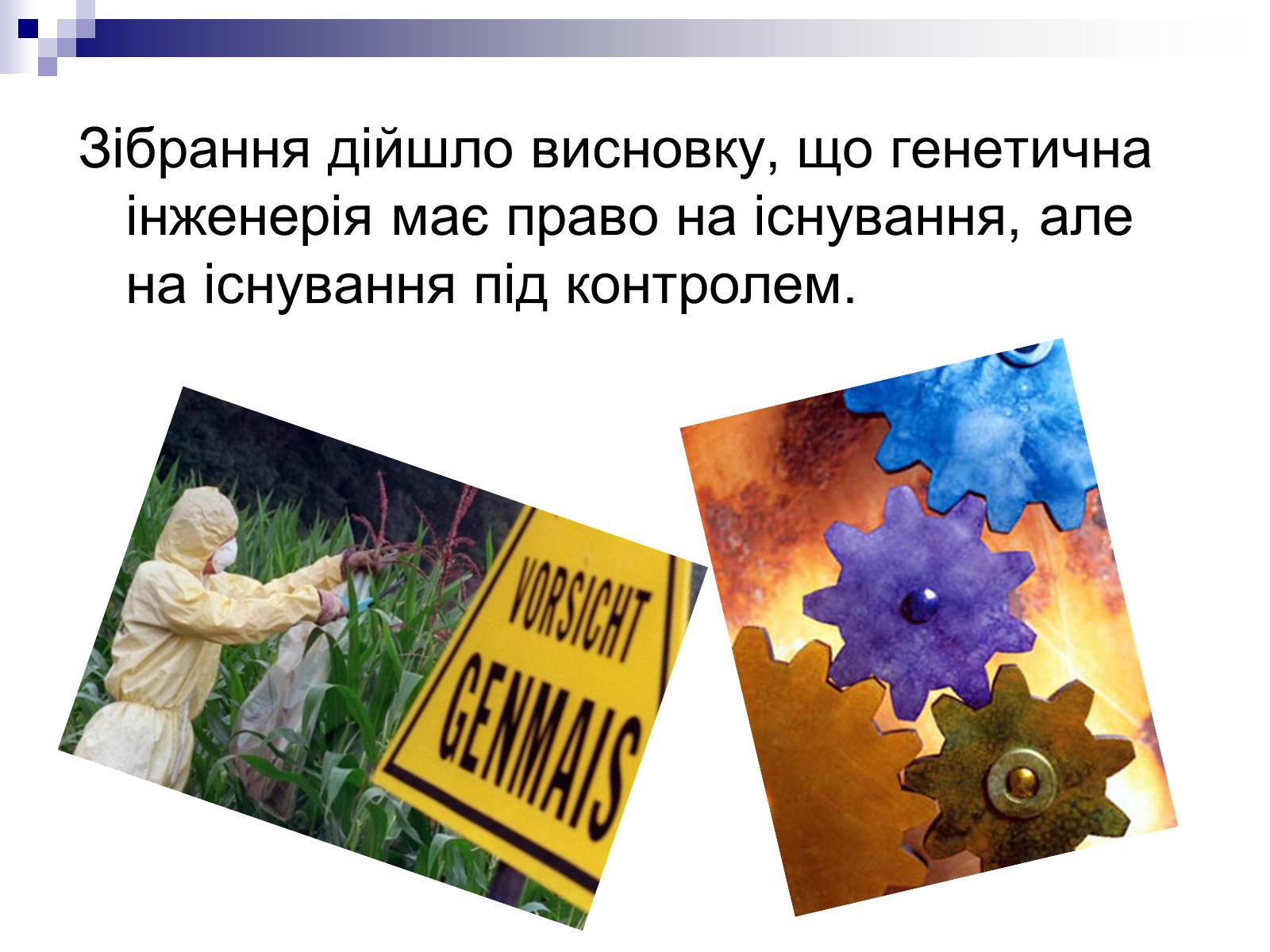 Презентація на тему «Генетична інженерія» (варіант 2) - Слайд #8 Презентація на тему «Генетична інженерія» (варіант 2) - Слайд #8