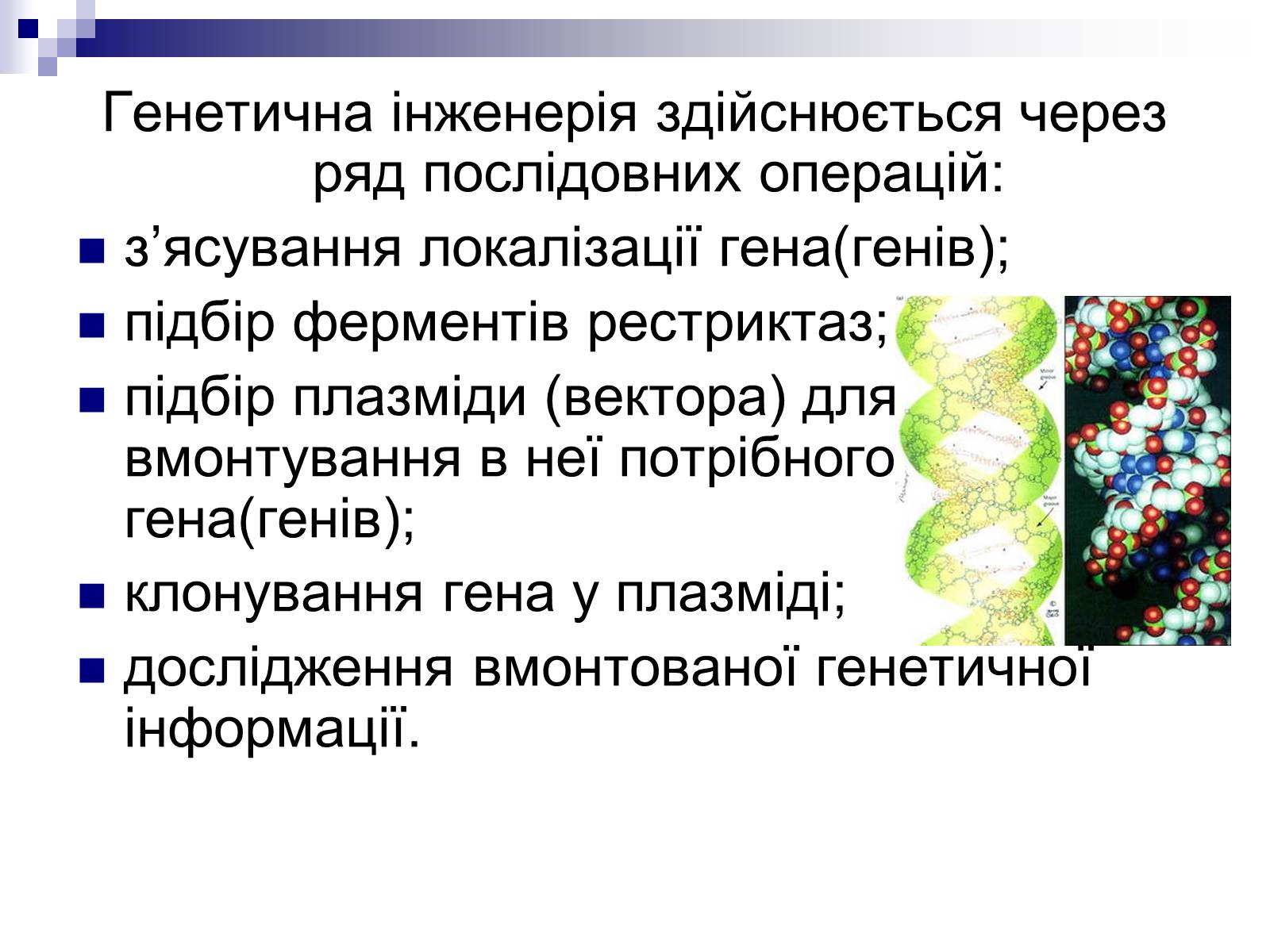 Презентація на тему «Генетична інженерія» (варіант 2) - Слайд #9 Презентація на тему «Генетична інженерія» (варіант 2) - Слайд #9