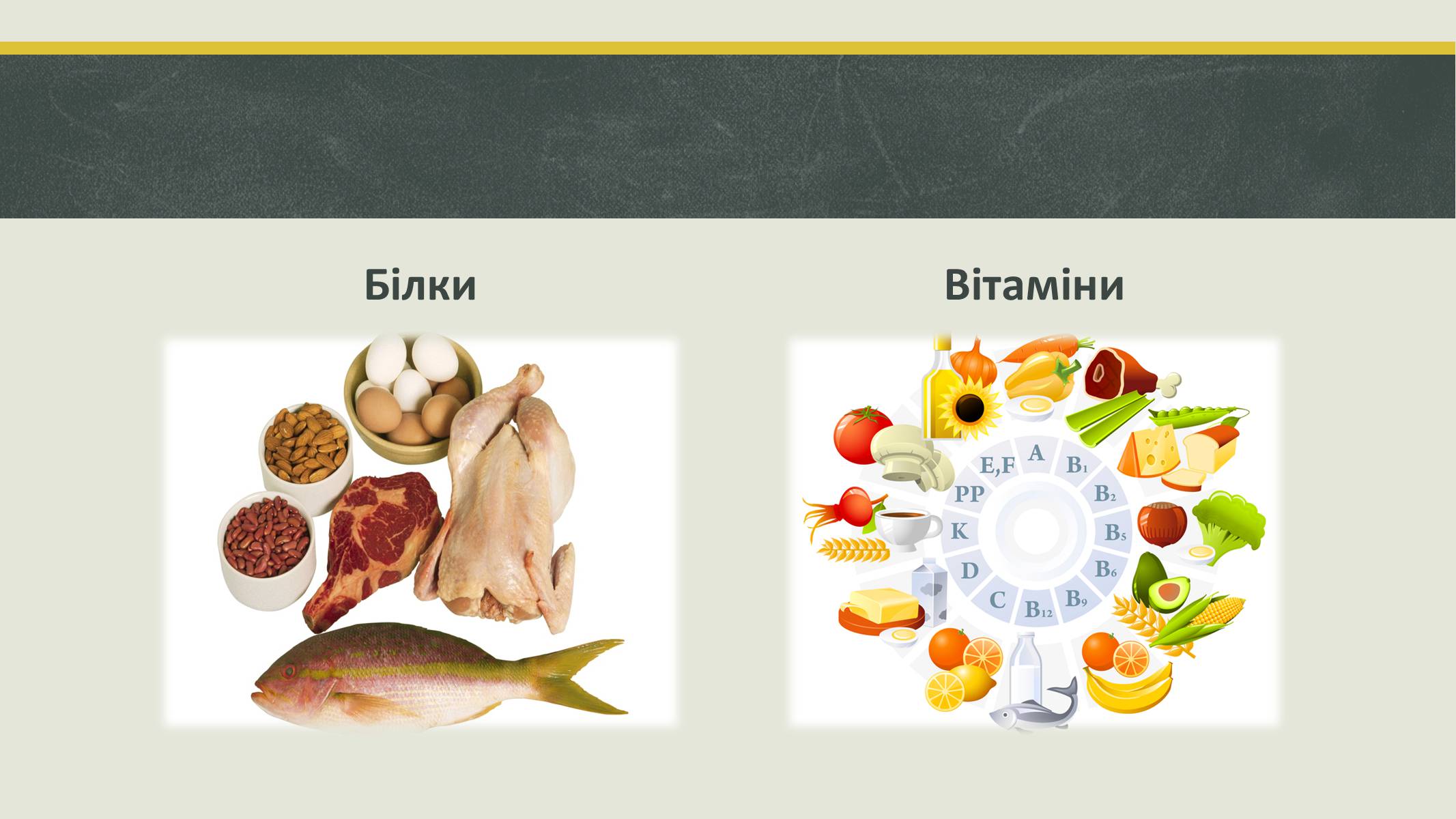 Презентація на тему «Білки та вітаміни» - Слайд #2 Презентація на тему «Білки та вітаміни» - Слайд #2