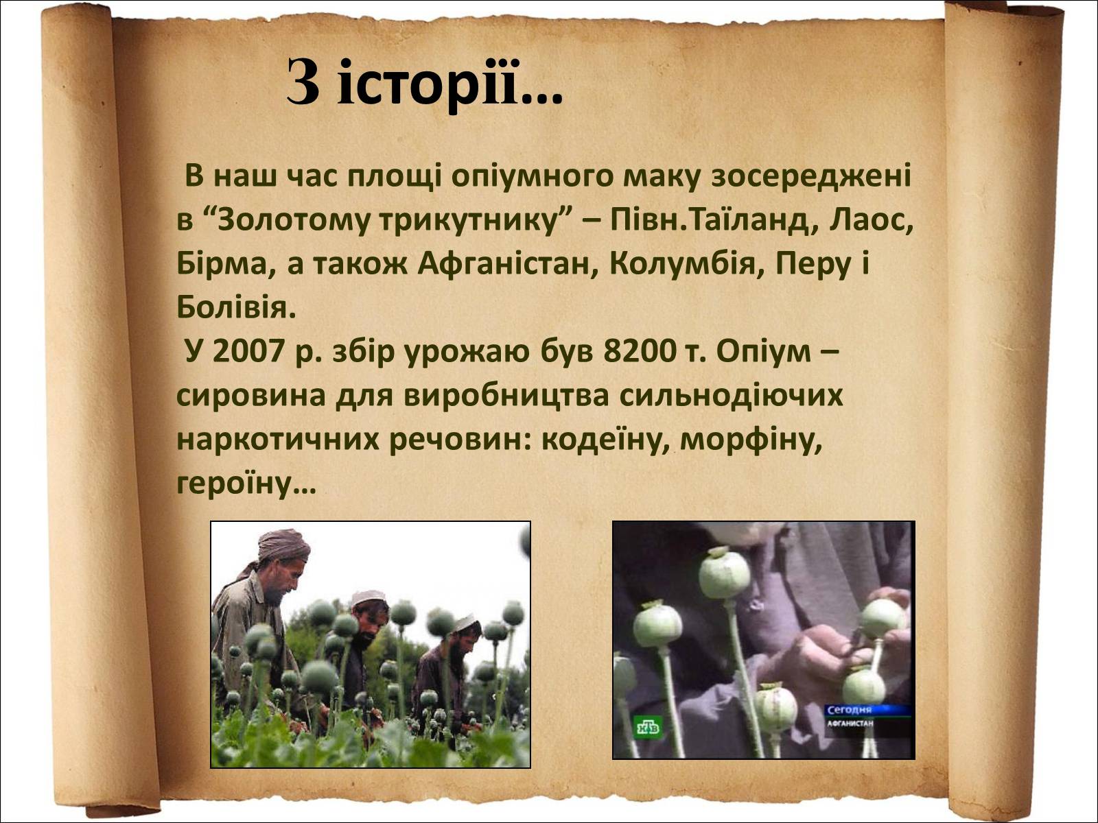 Презентація на тему «Наркоманія» (варіант 3) - Слайд #11 Презентація на тему «Наркоманія» (варіант 3) - Слайд #11