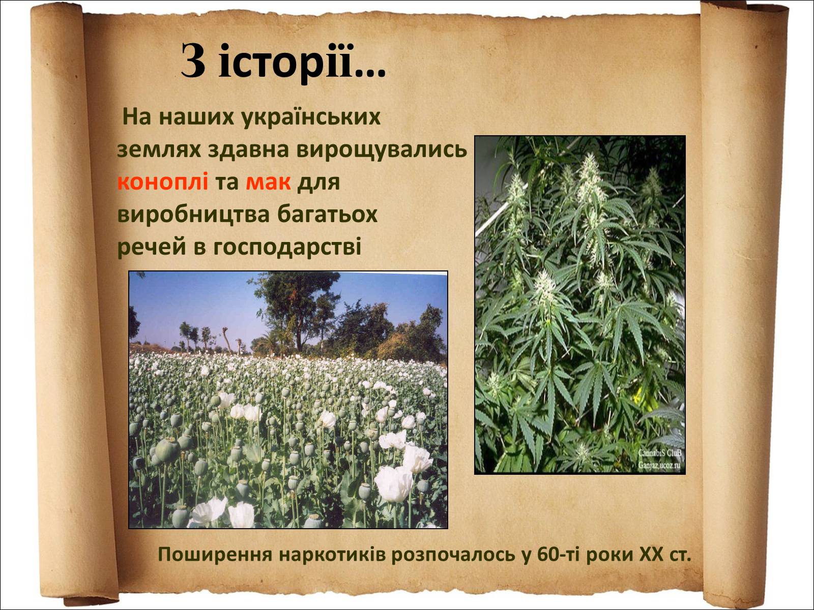 Презентація на тему «Наркоманія» (варіант 3) - Слайд #12 Презентація на тему «Наркоманія» (варіант 3) - Слайд #12