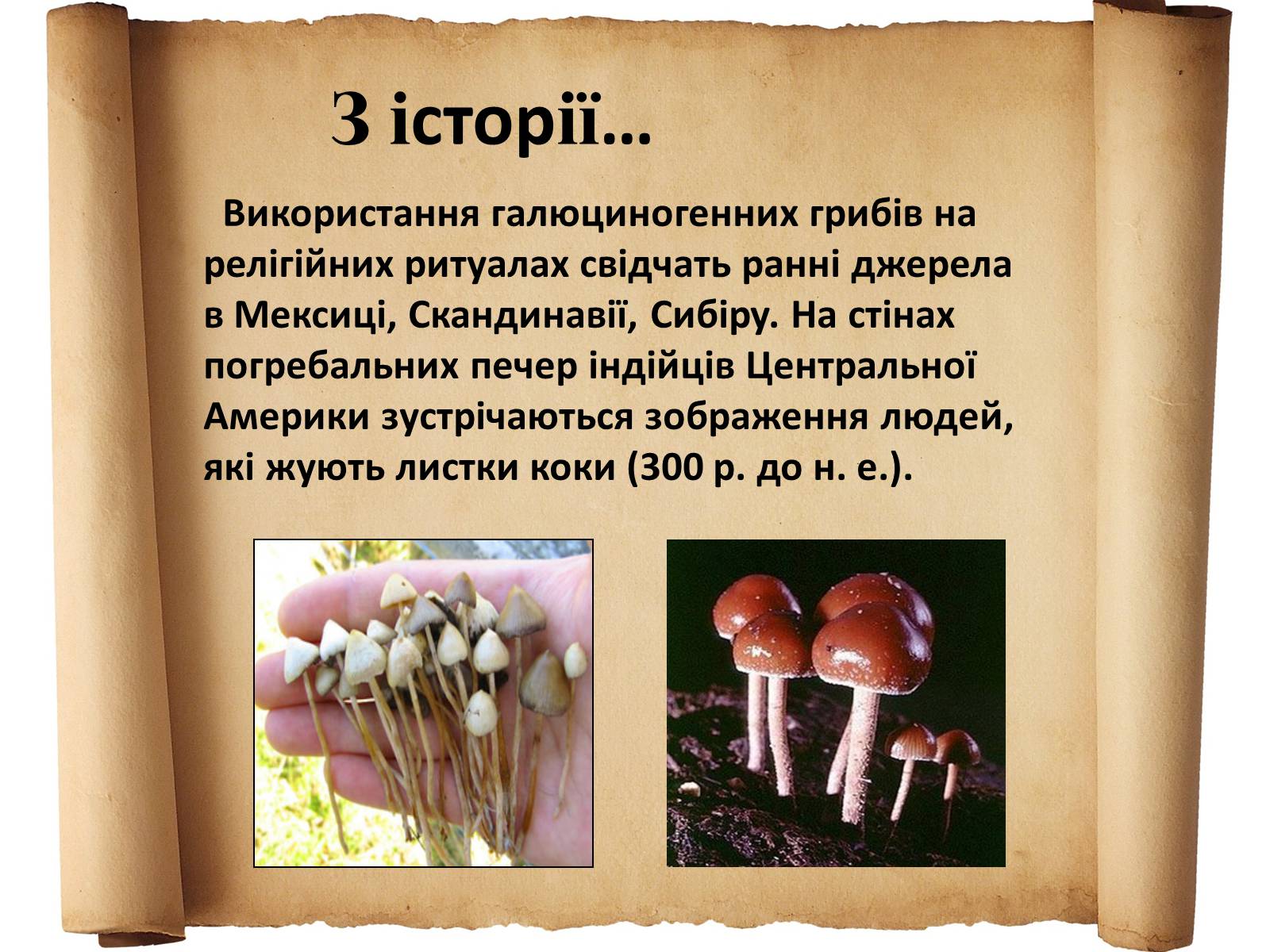 Презентація на тему «Наркоманія» (варіант 3) - Слайд #4 Презентація на тему «Наркоманія» (варіант 3) - Слайд #4