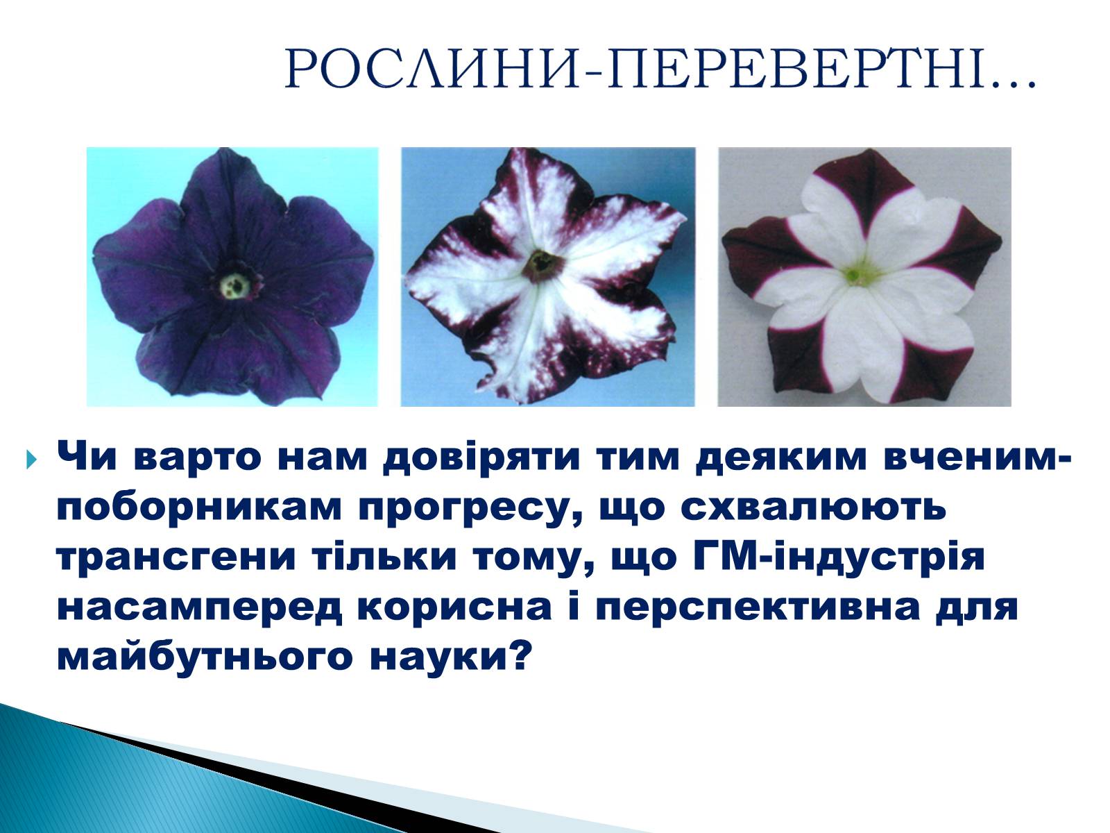 Презентація на тему «Що необхідно знати про трансгени» - Слайд #4 Презентація на тему «Що необхідно знати про трансгени» - Слайд #4