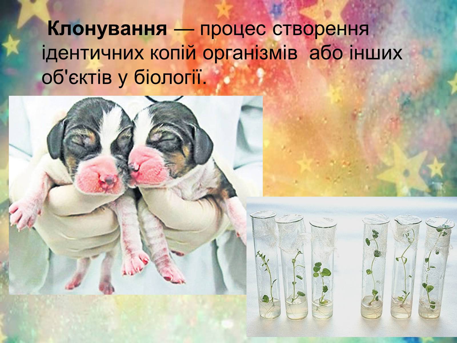 Презентація на тему «Клонування» (варіант 3) - Слайд #2 Презентація на тему «Клонування» (варіант 3) - Слайд #2