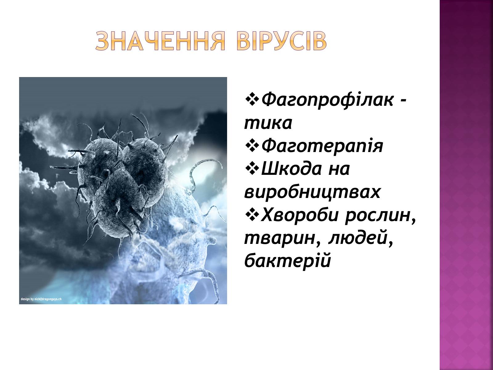 Презентація на тему «Віруси» (варіант 19) - Слайд #12 Презентація на тему «Віруси» (варіант 19) - Слайд #12